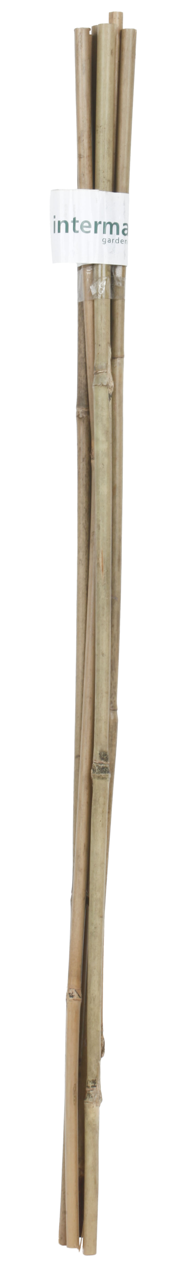 Tutor de bambu NATURAL 60CM 6-8MM