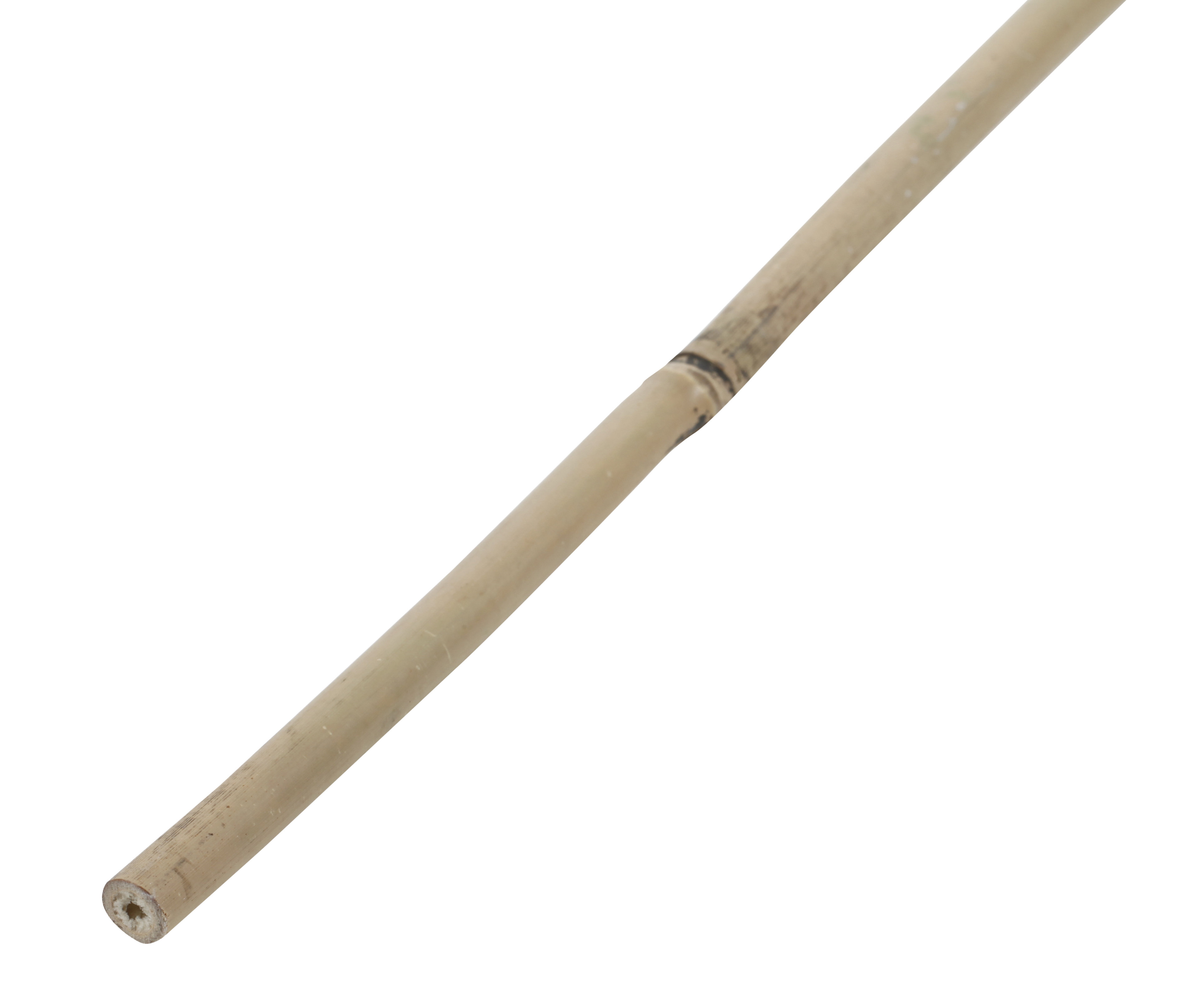 Soporte para plantar de bambú de 2.1m de alto y 16 mm de diámetro - 3