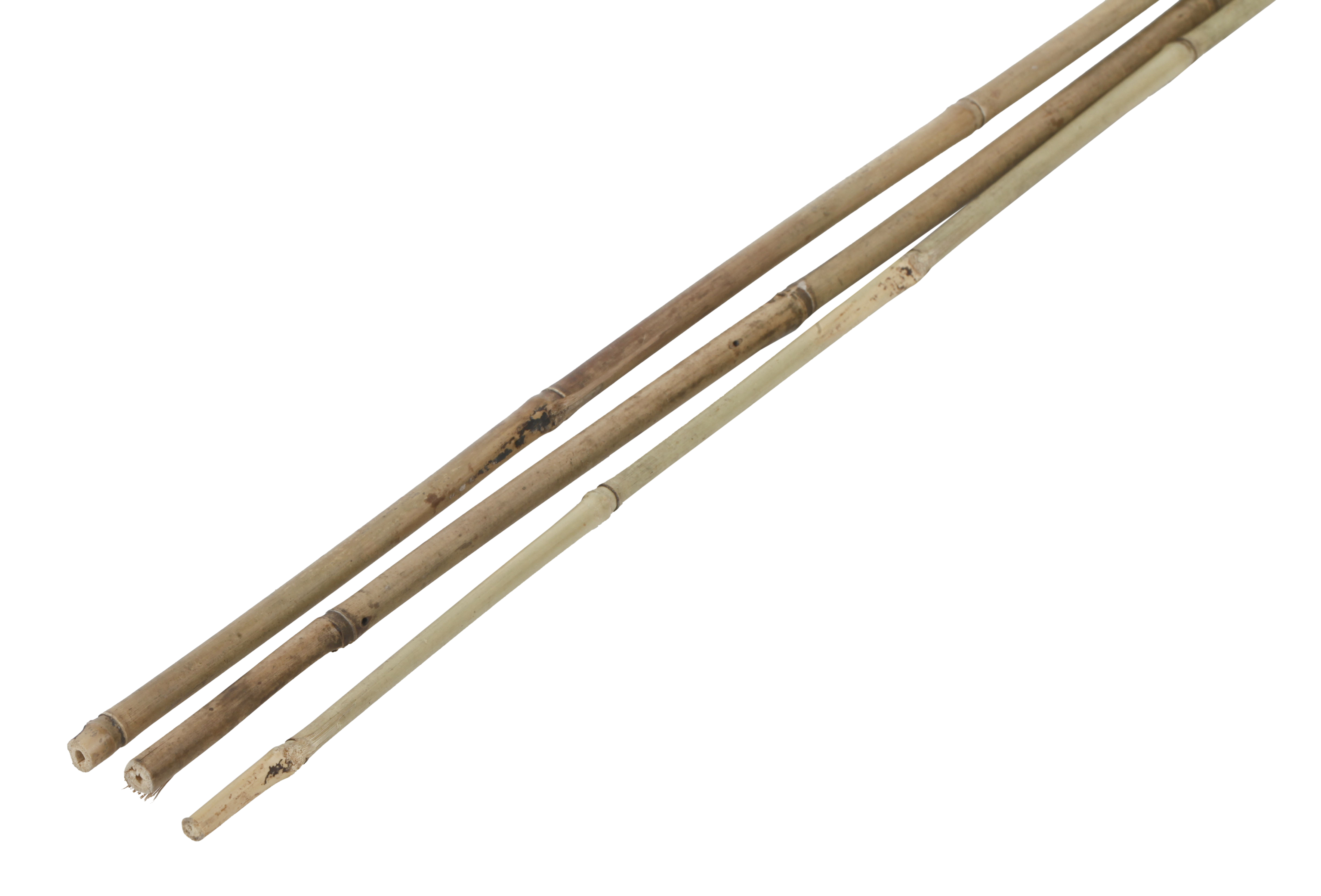 Tutor de bambu NATURAL 120CM 10-12MM - 4