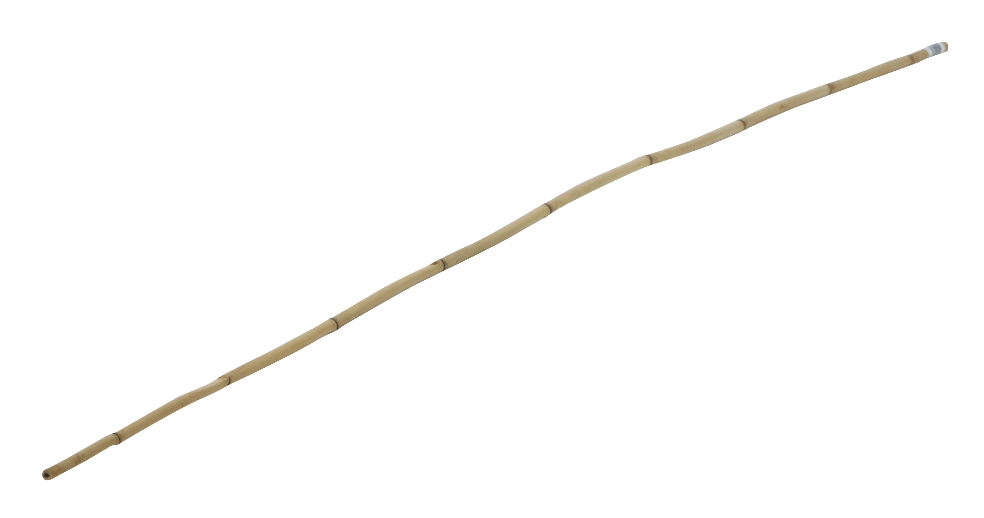 Tutor de bambu NATURAL 180CM 12-14MM - 6