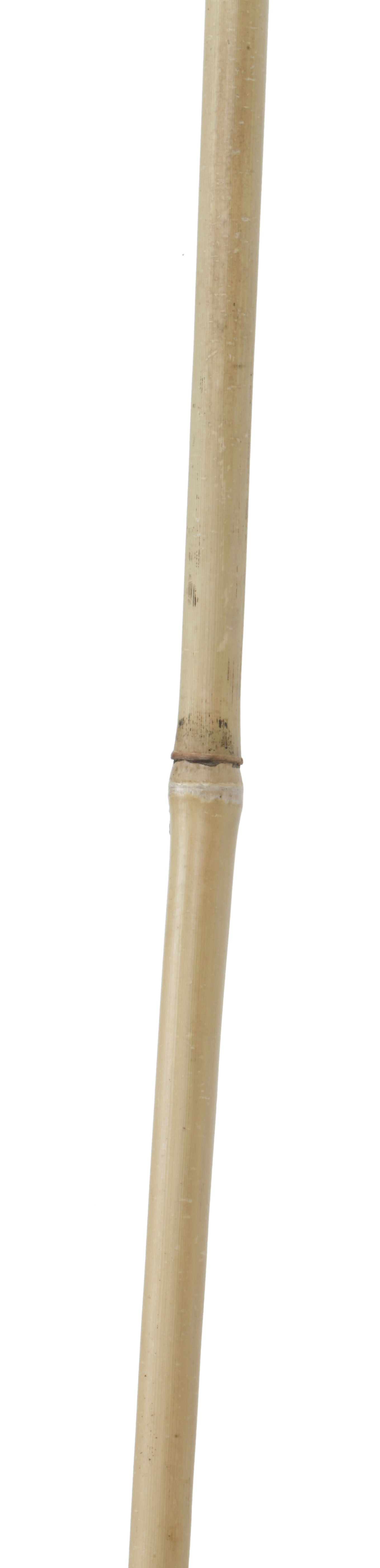 Tutor de bambu NATURAL 180CM 12-14MM - 5