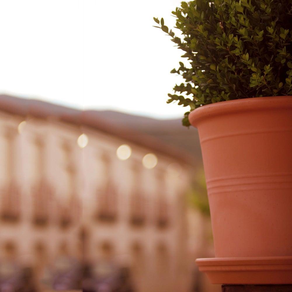 Plato de barro para maceta D23 cm - 2