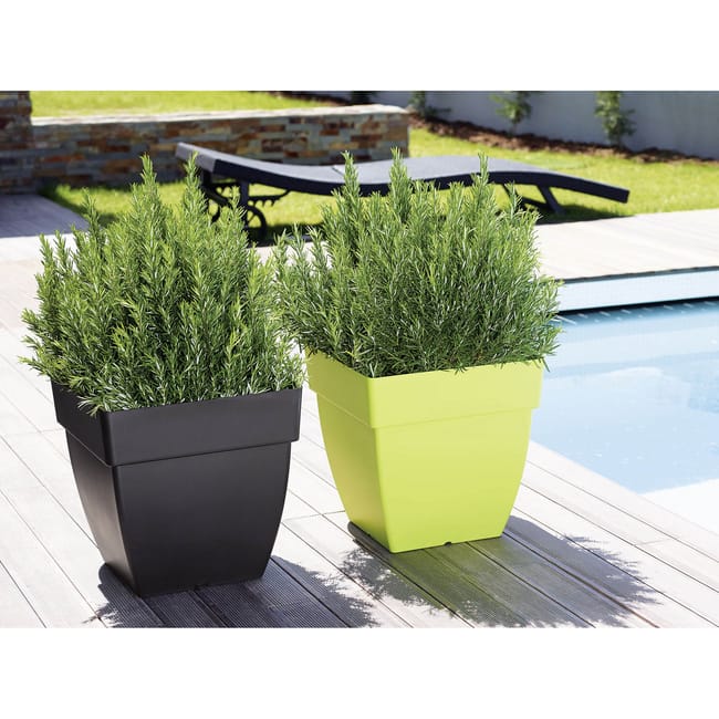 ARTEVASI SA - Artevasi Kit Fioriera Riserva Acqua Venezia 50 Centimetri Bronzo ARTEVASI SA - Artevasi Kit Fioriera Riserva Acqua Venezia 50 Centimetri Bronzo