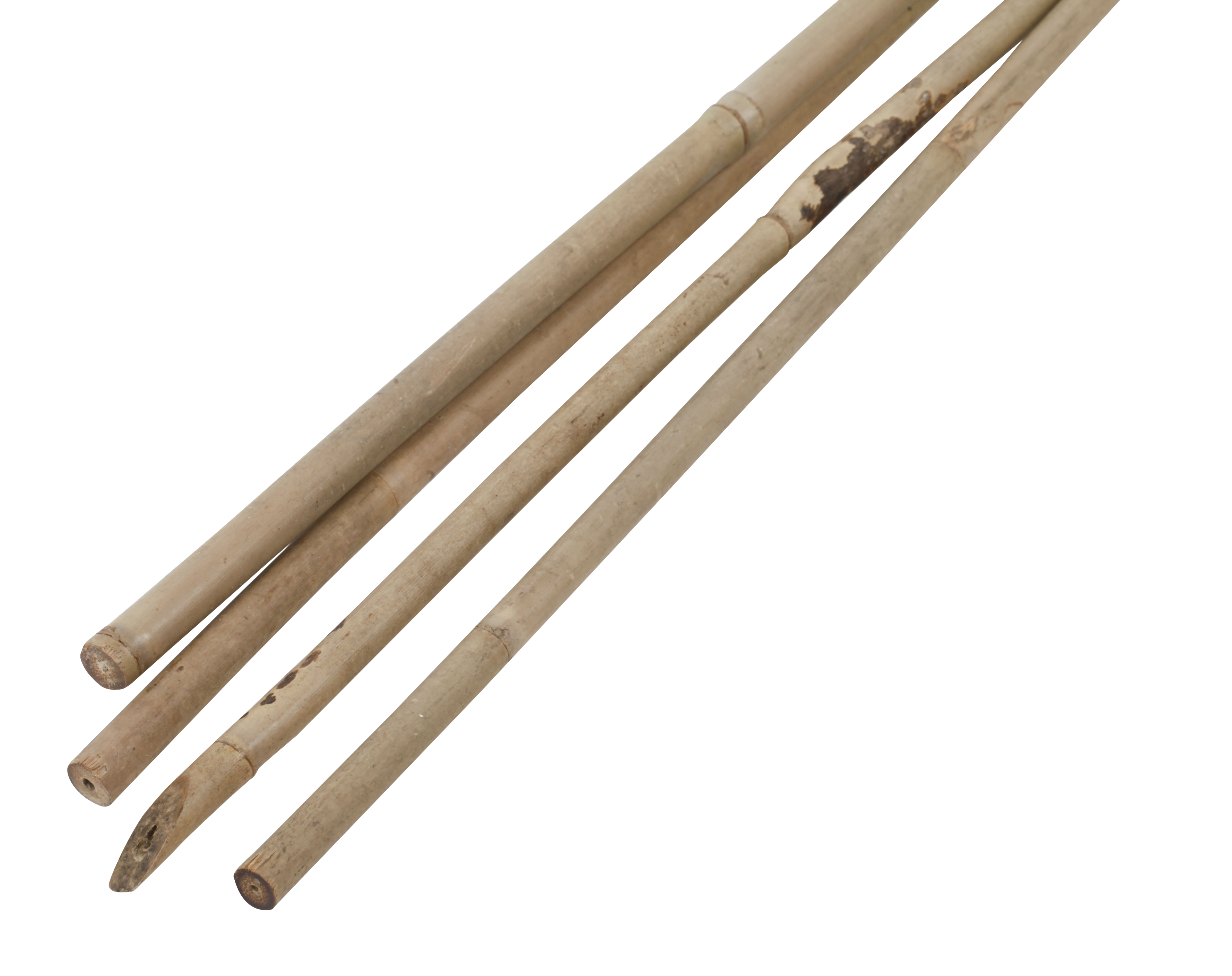 Tutor de bambu NATURAL 90CM 8-10MM - 3