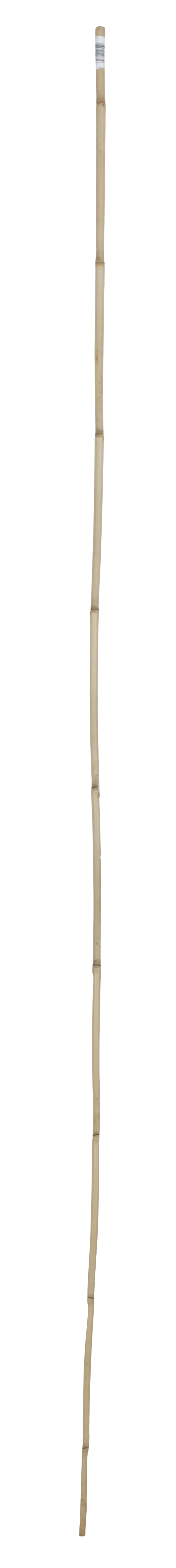 Tutor de bambu NATURAL 180CM 12-14MM