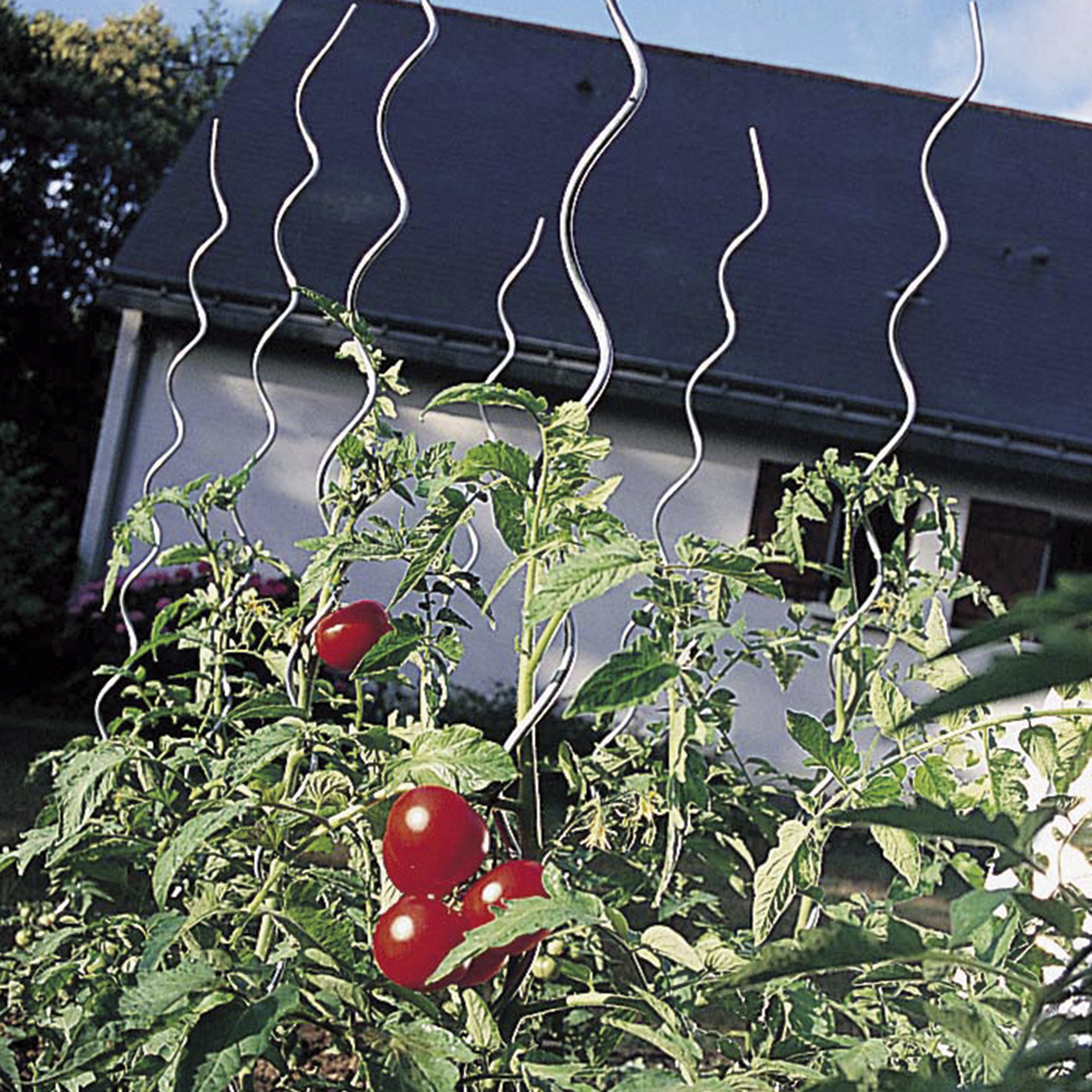 Soporte para plantar de acero de 1.8m de alto y 7 mm de diámetro - 7
