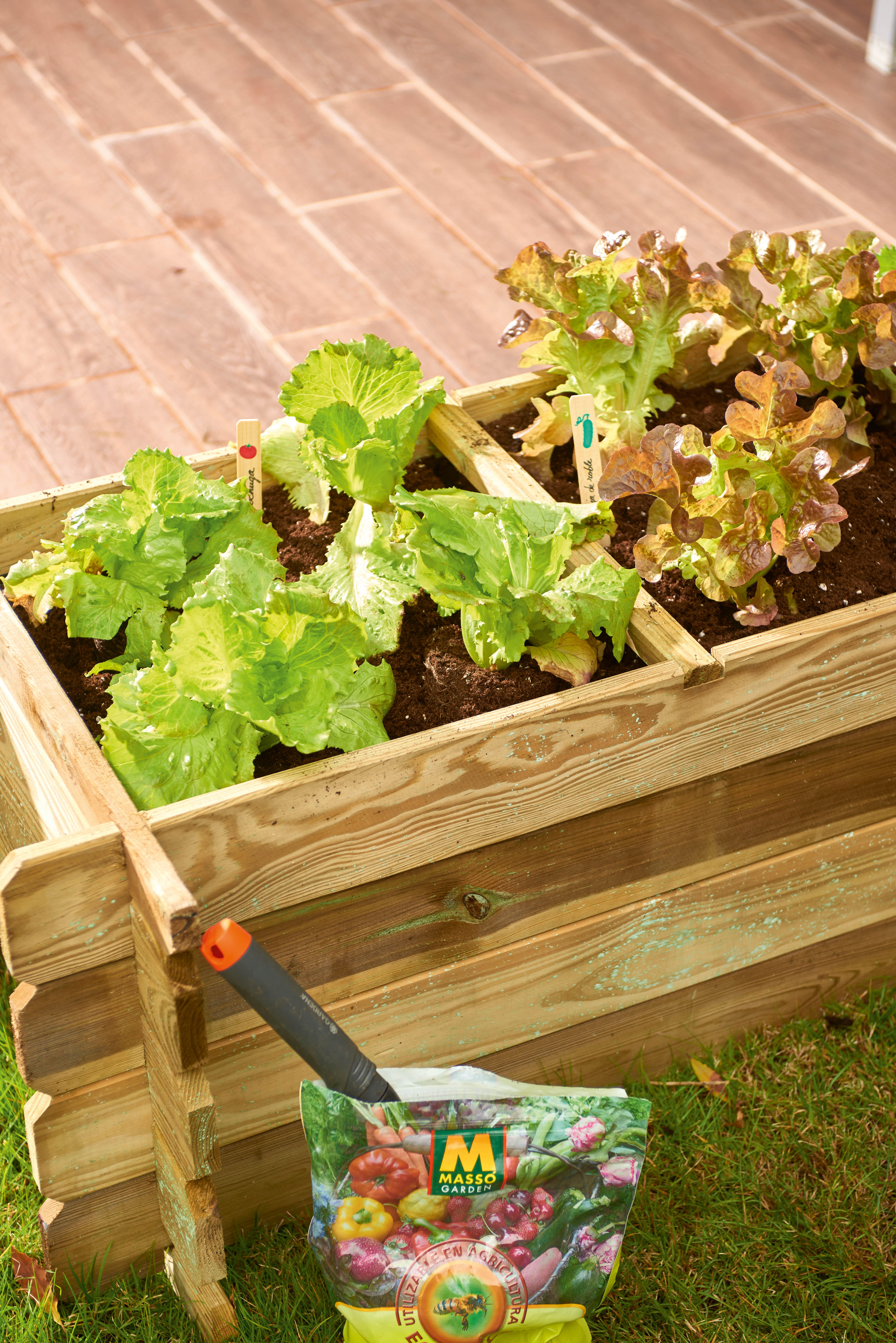 Horta vertical NIKOLO 140X60X40CM - 3