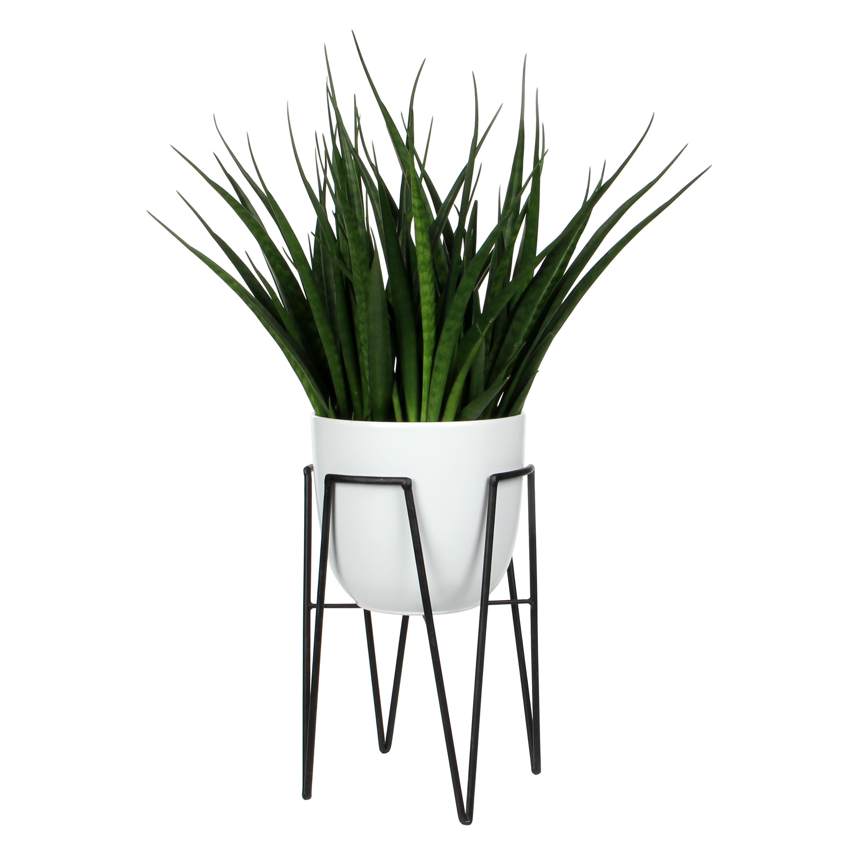 Soporte para macetero Blom Ø29,5 50 cm - 3