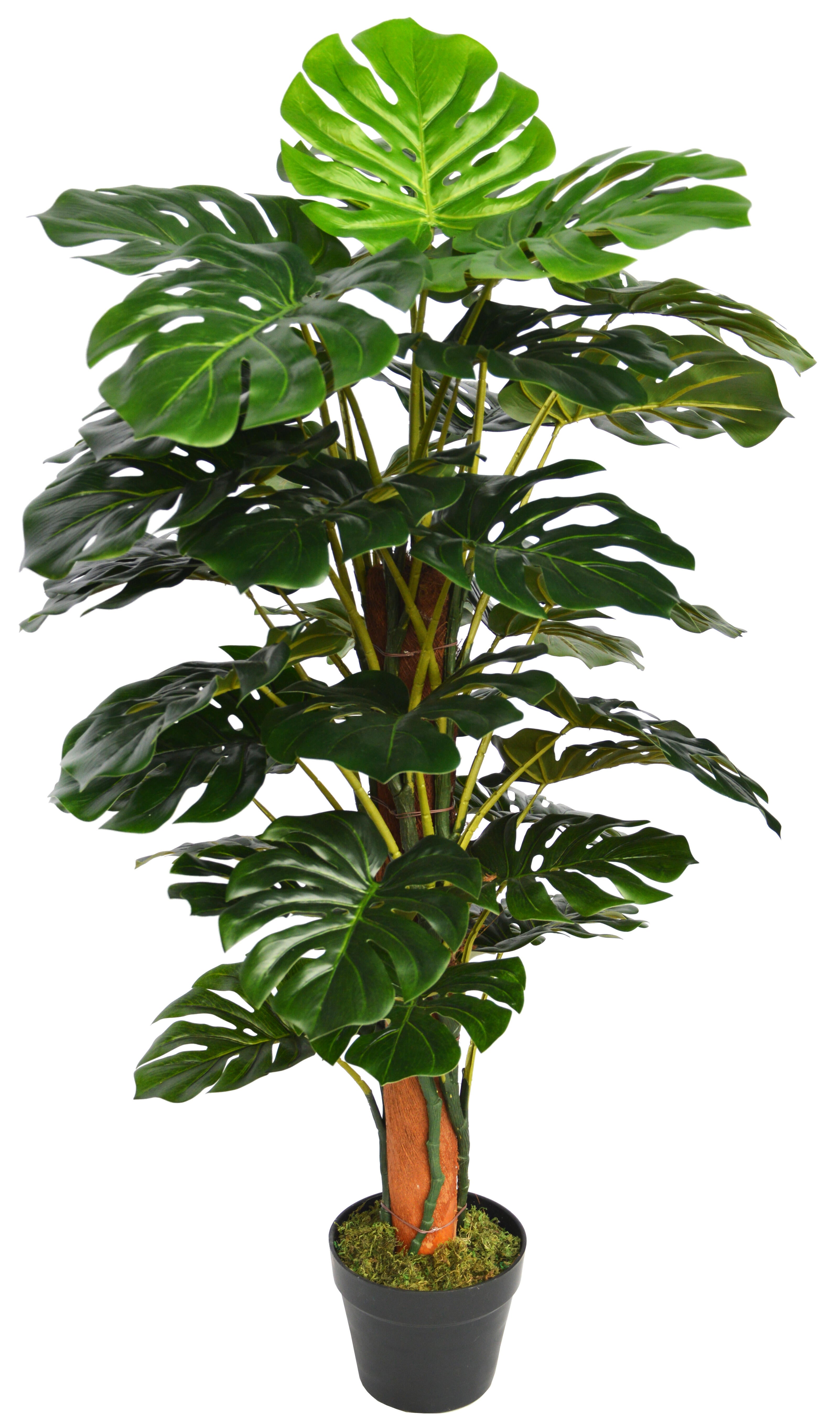 Sinder  Planta Artificial Monstera De 120 Cm De Altura En Maceta De 17 Cm , Leroy Merlin