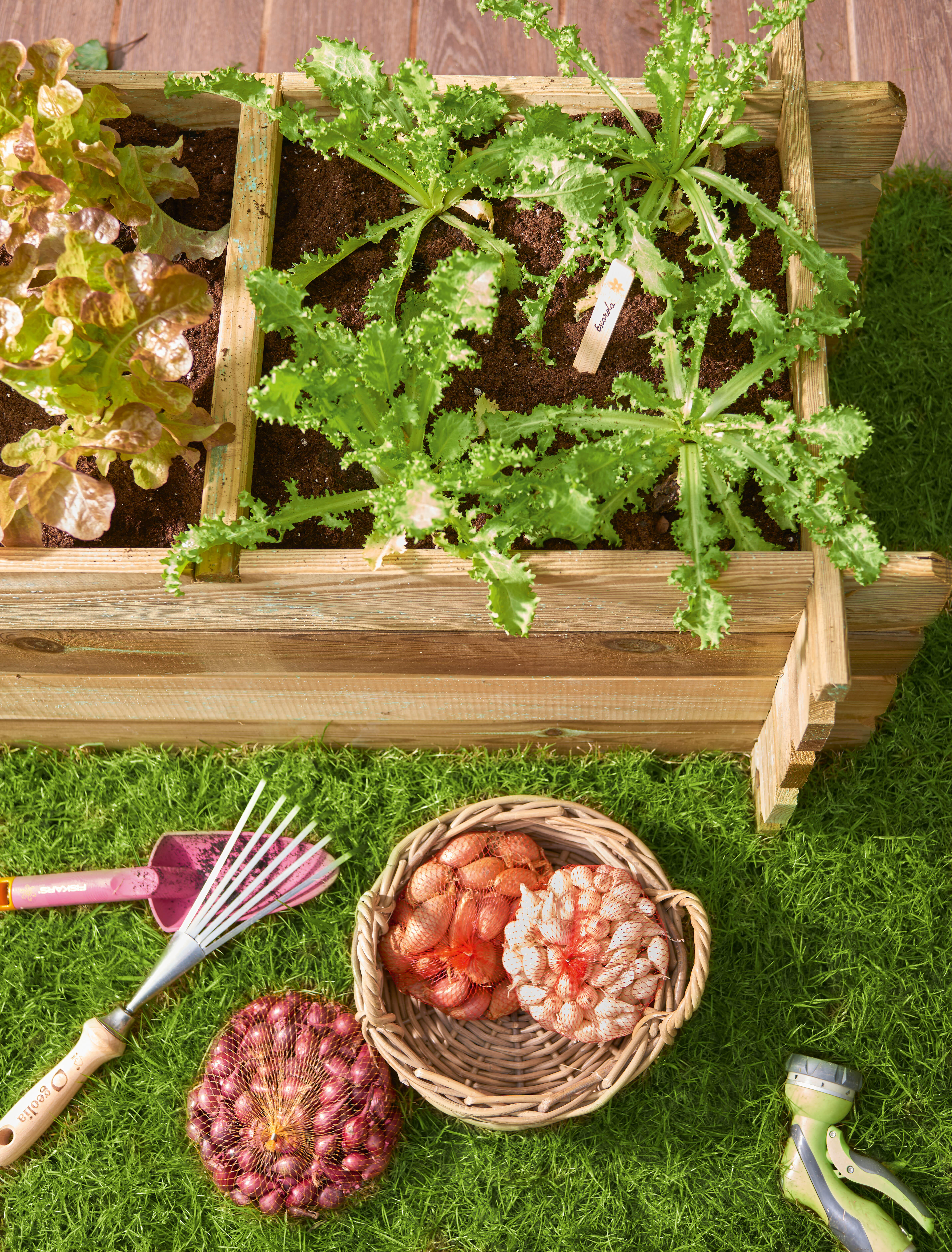 Horta vertical NIKOLO 140X60X40CM - 6