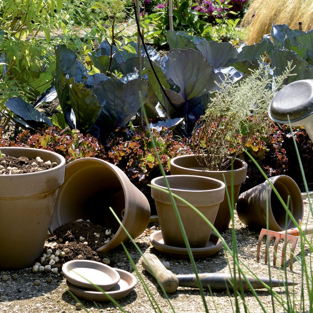 Plato de barro para maceta D19 cm Leroy Merlin