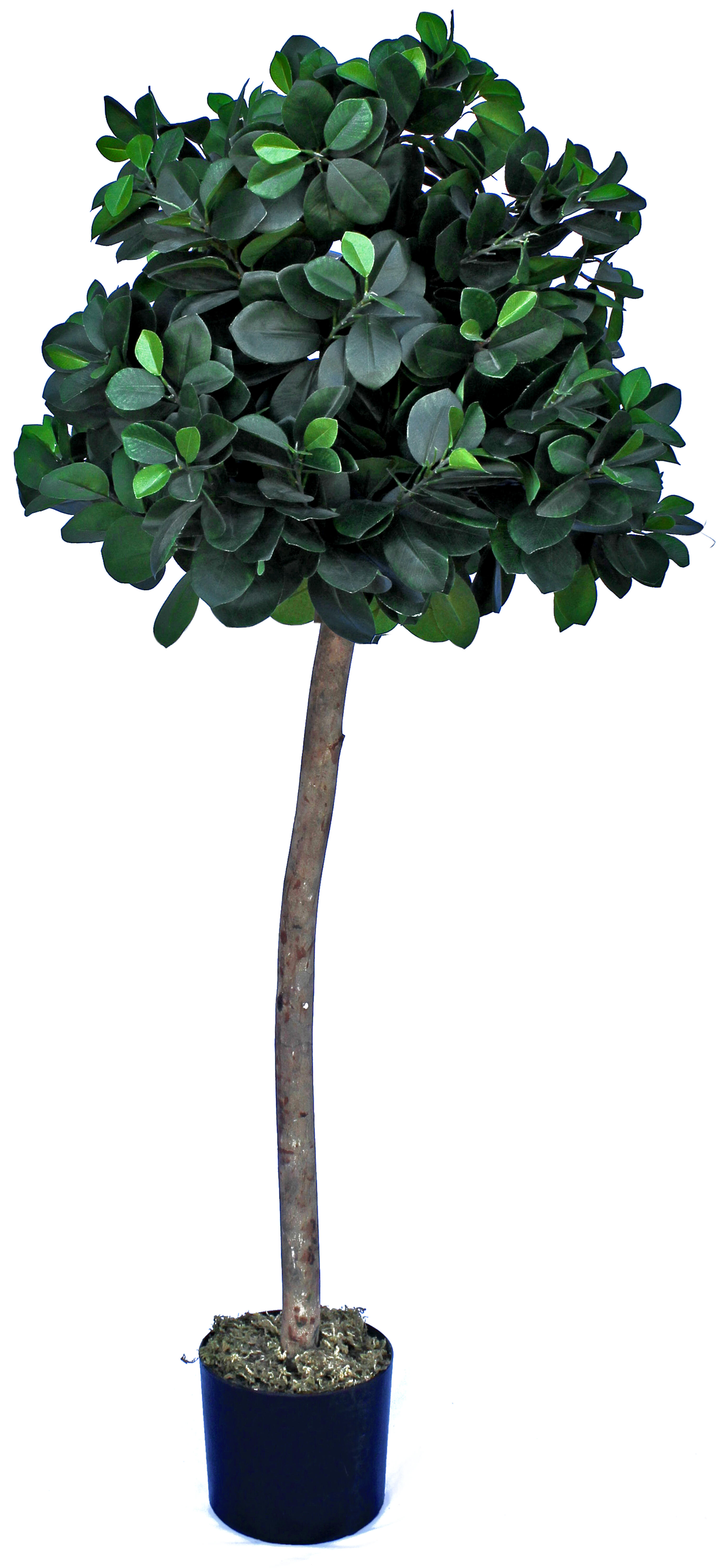 Árbol artificial laurel de 127 cm en maceta de 17 cm
