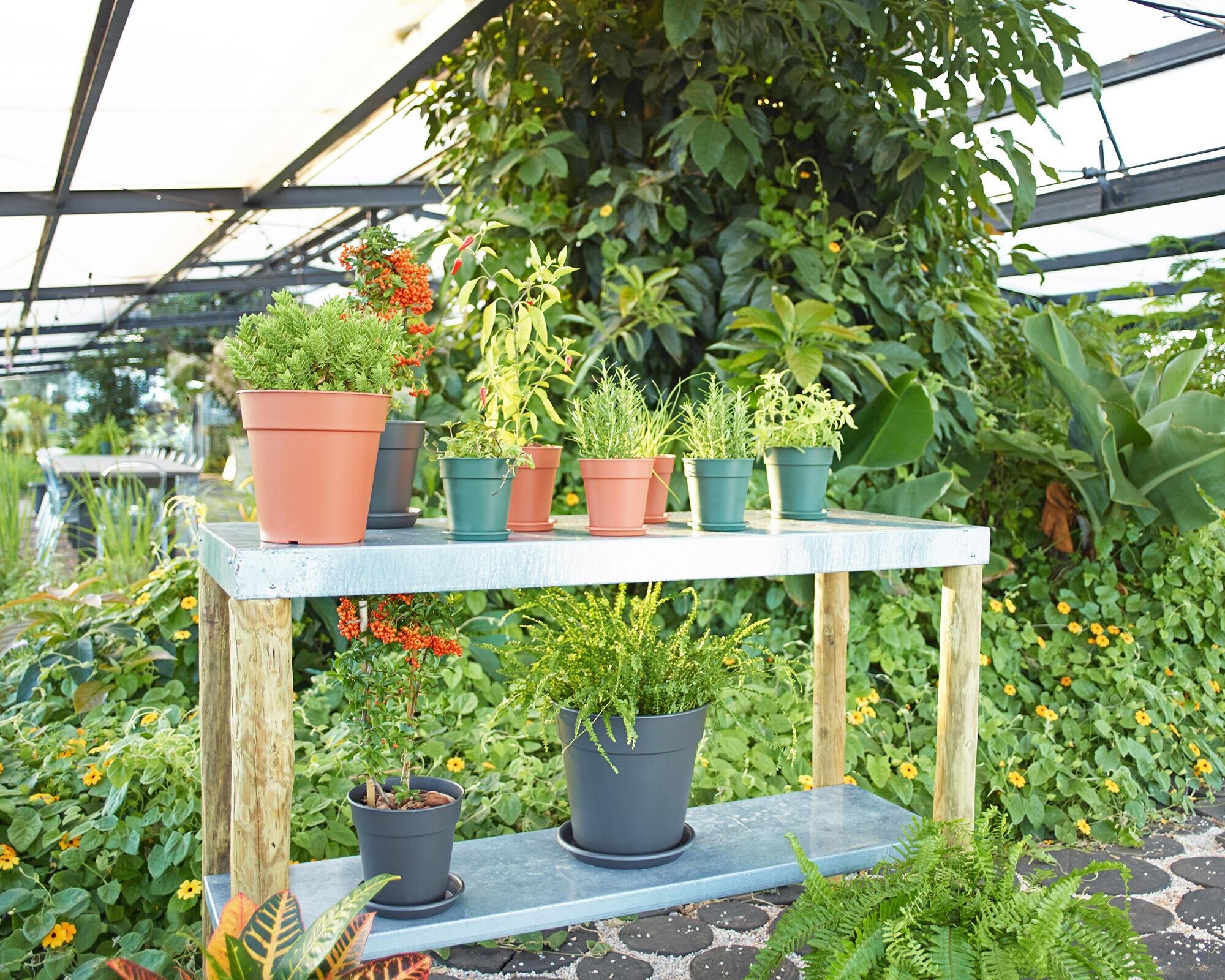 Vaso MADAGASCAR D27CM ANTRACITE - 8