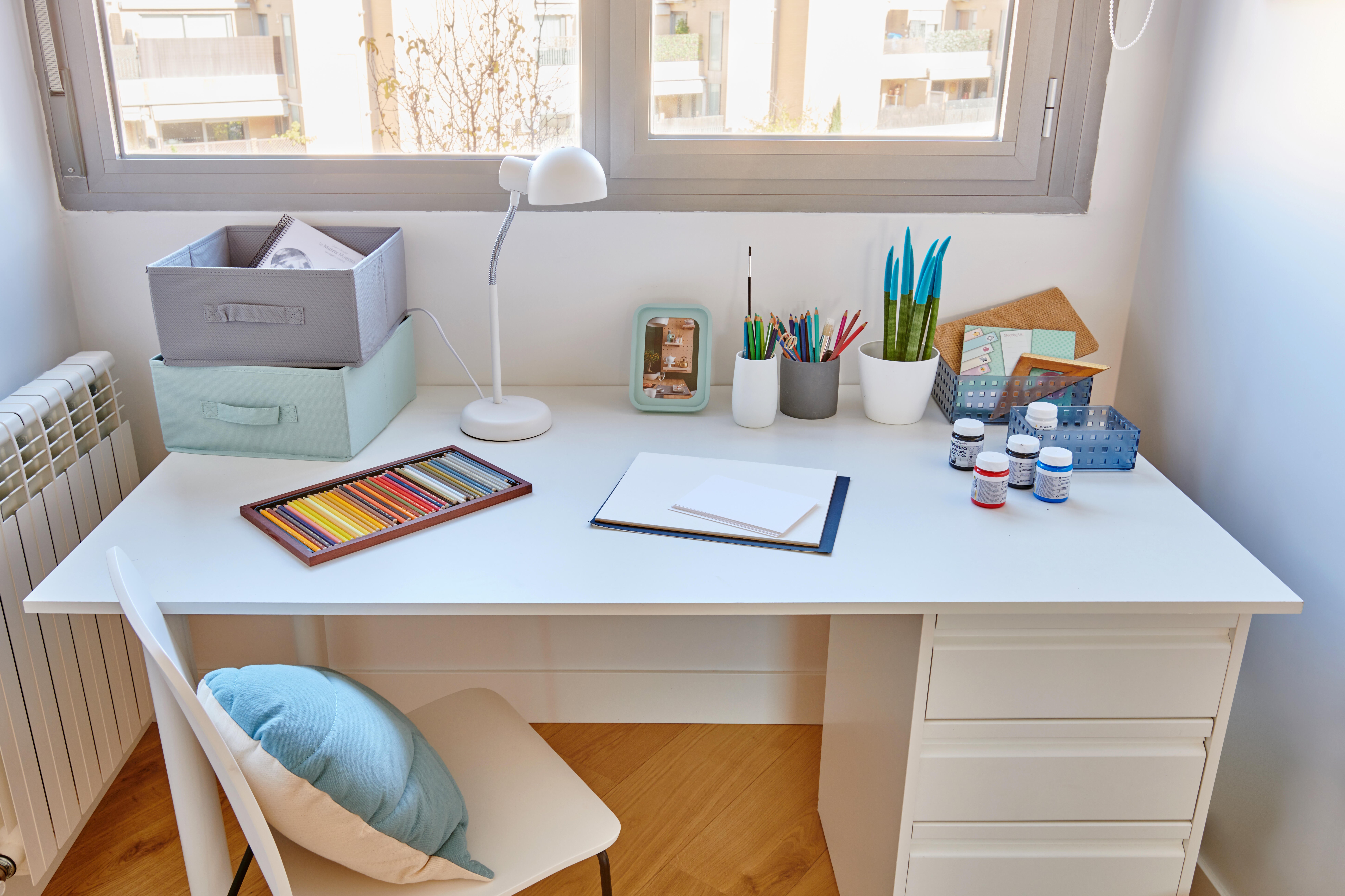 Organizador 22X16X9 AZUL - 3