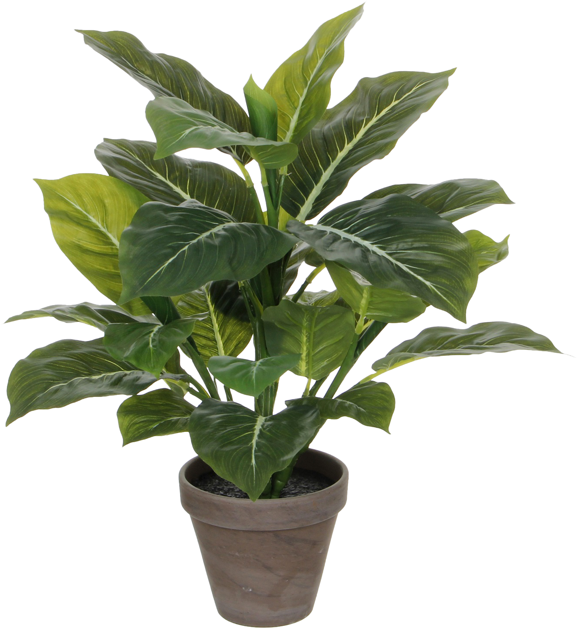 Planta artificial evergreen 49 cm de altura