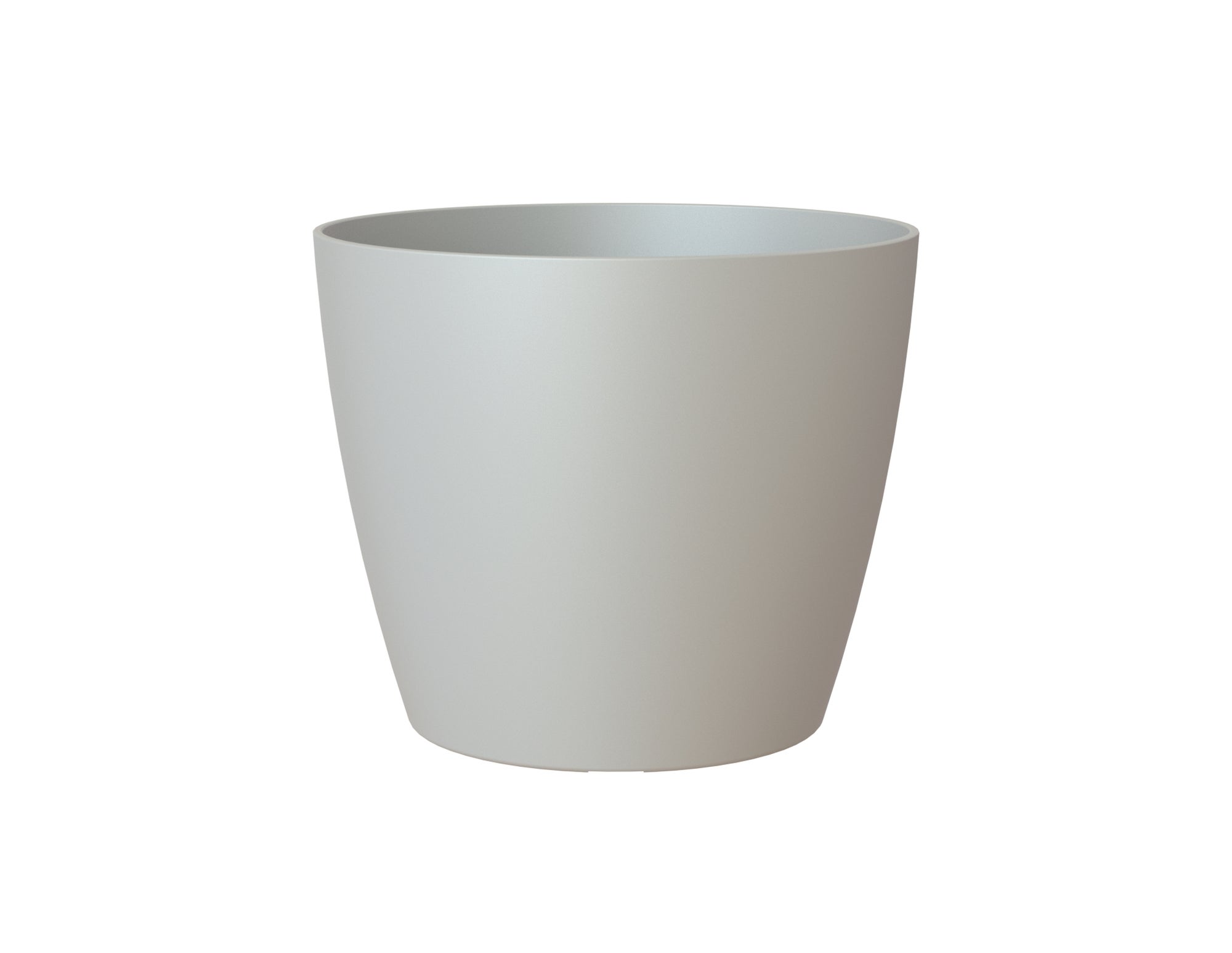 Gris