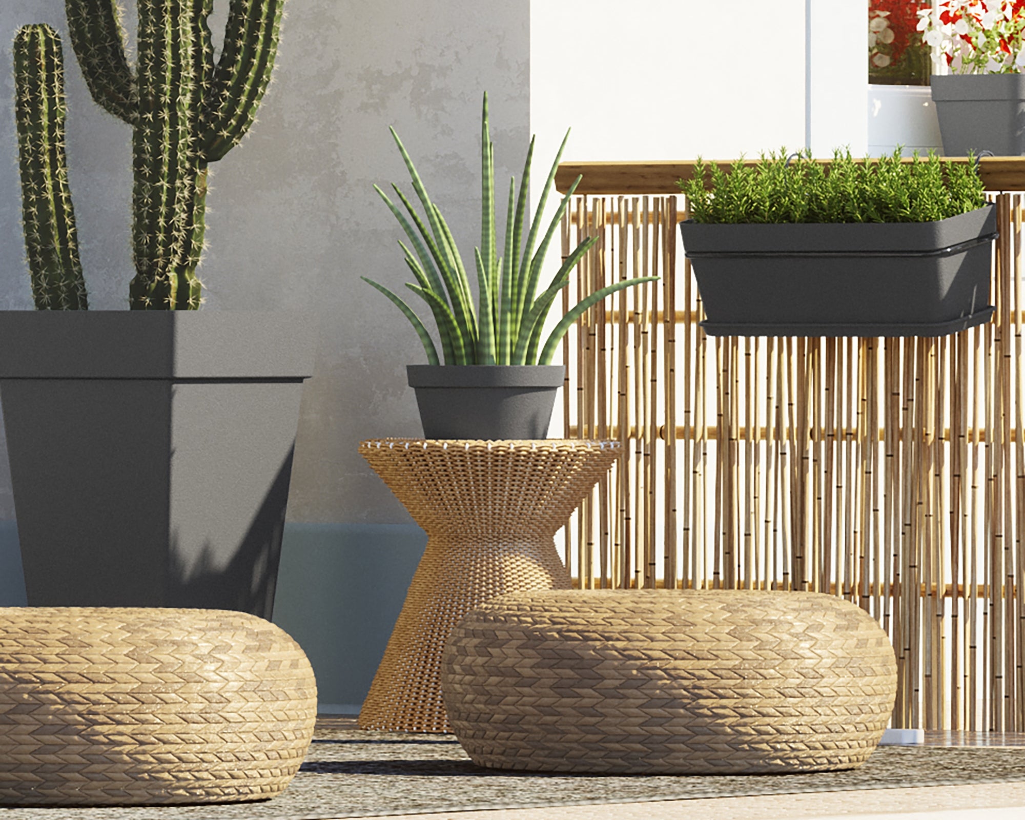 Taça CAPRI 25CM ANTRACITE - 4