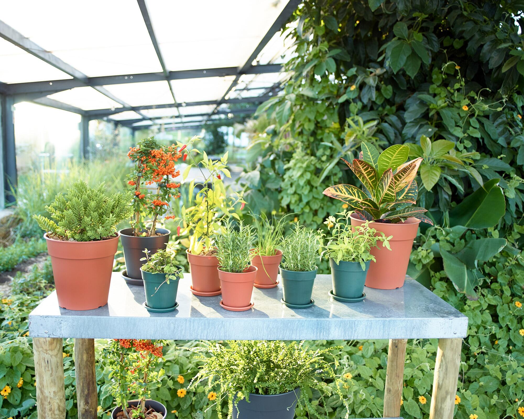 Vaso de plástico 23x22,2 cm antracite Madagascar - 6