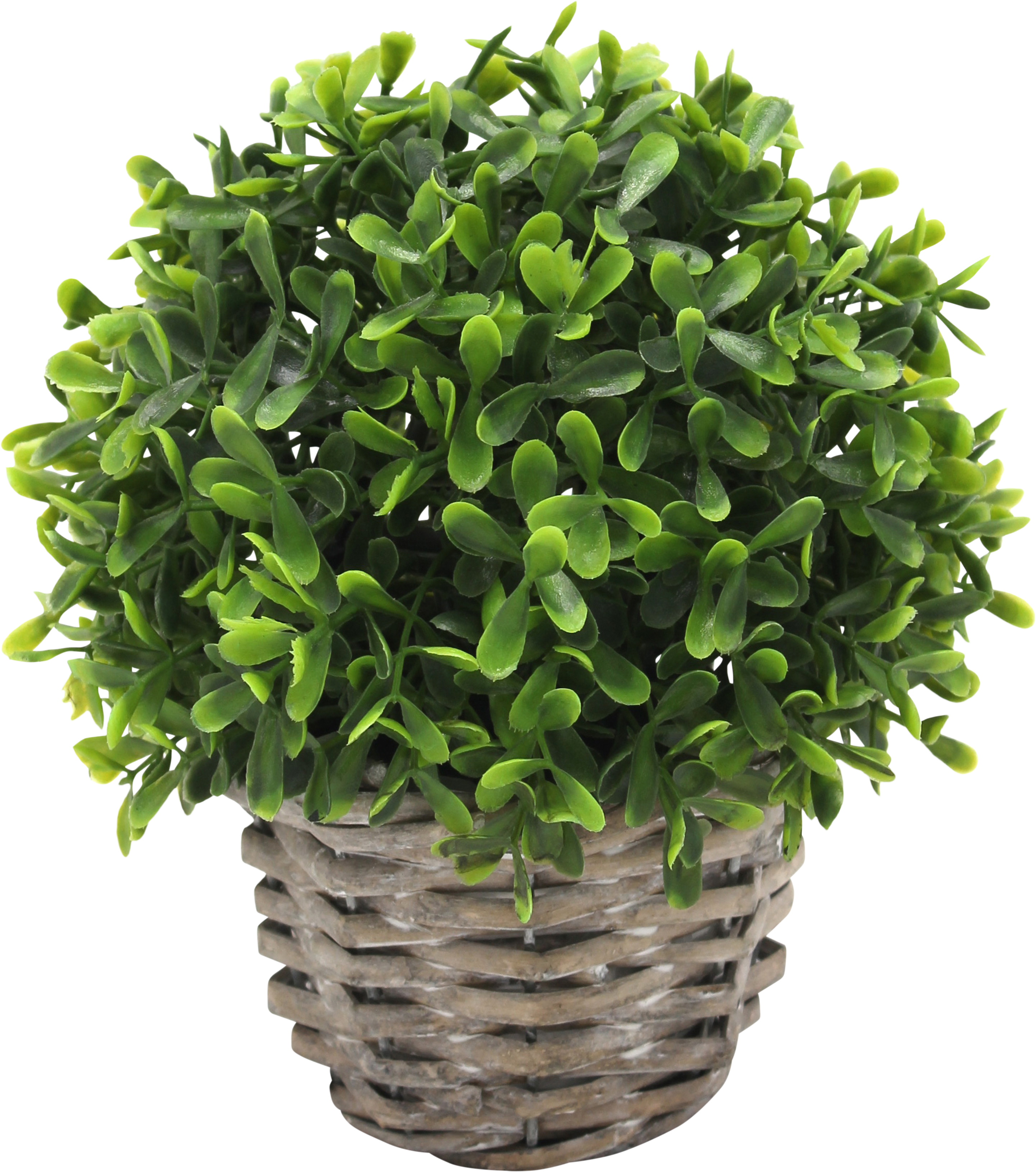 Planta artificial bola boj tea 19 cm en maceta de ø 12 cm