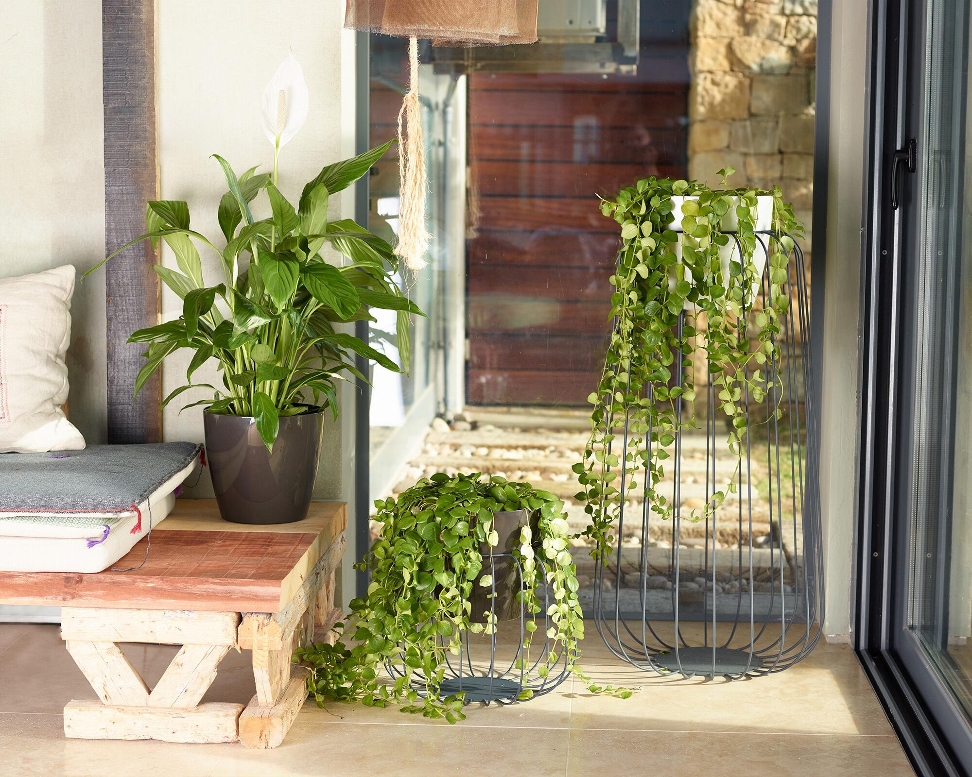 Vaso san remo 12cm branco - 5