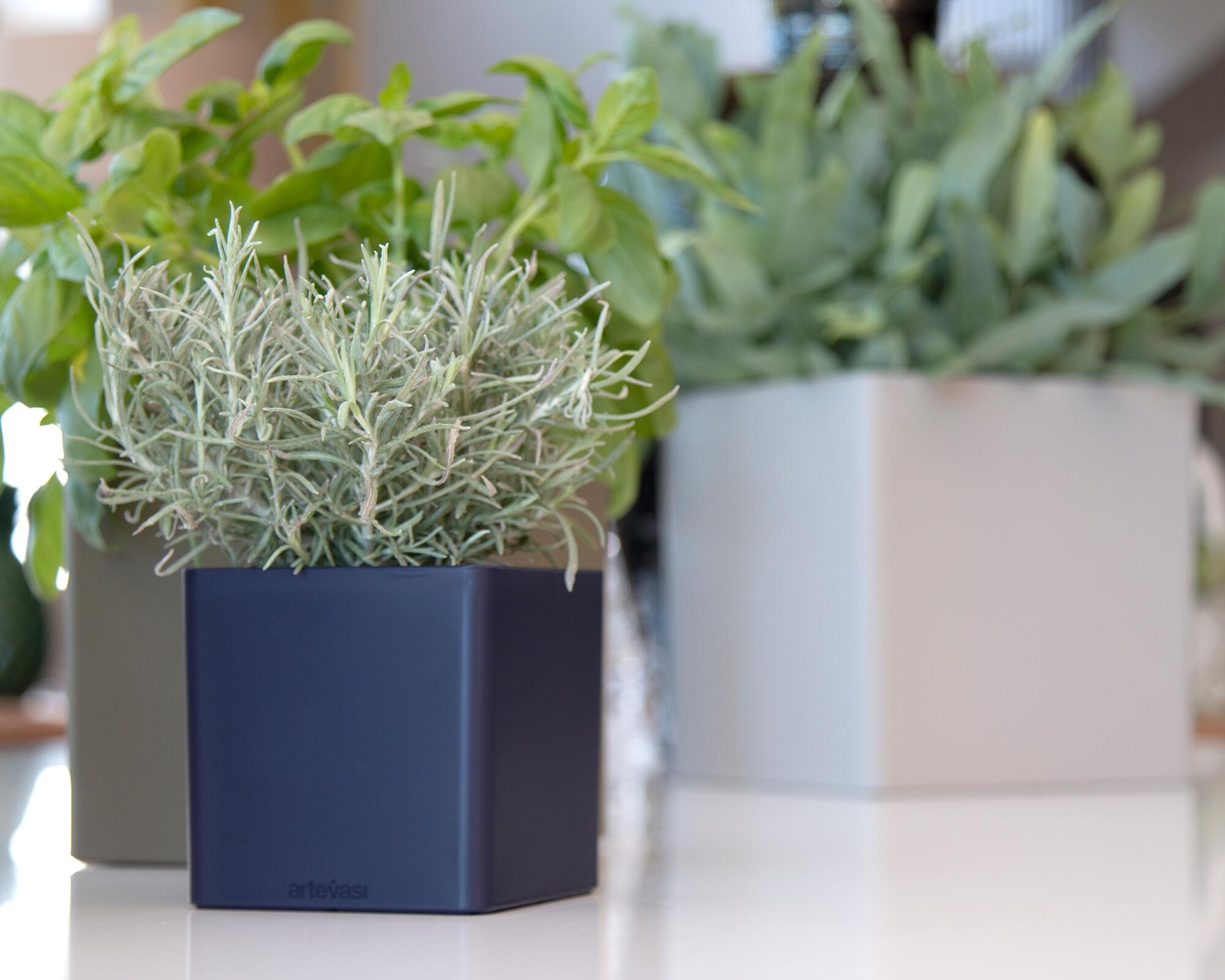 Vaso Cubo ARTEVASI in polipropilene antracite H 13.5 x ø 13.5 cm - 3