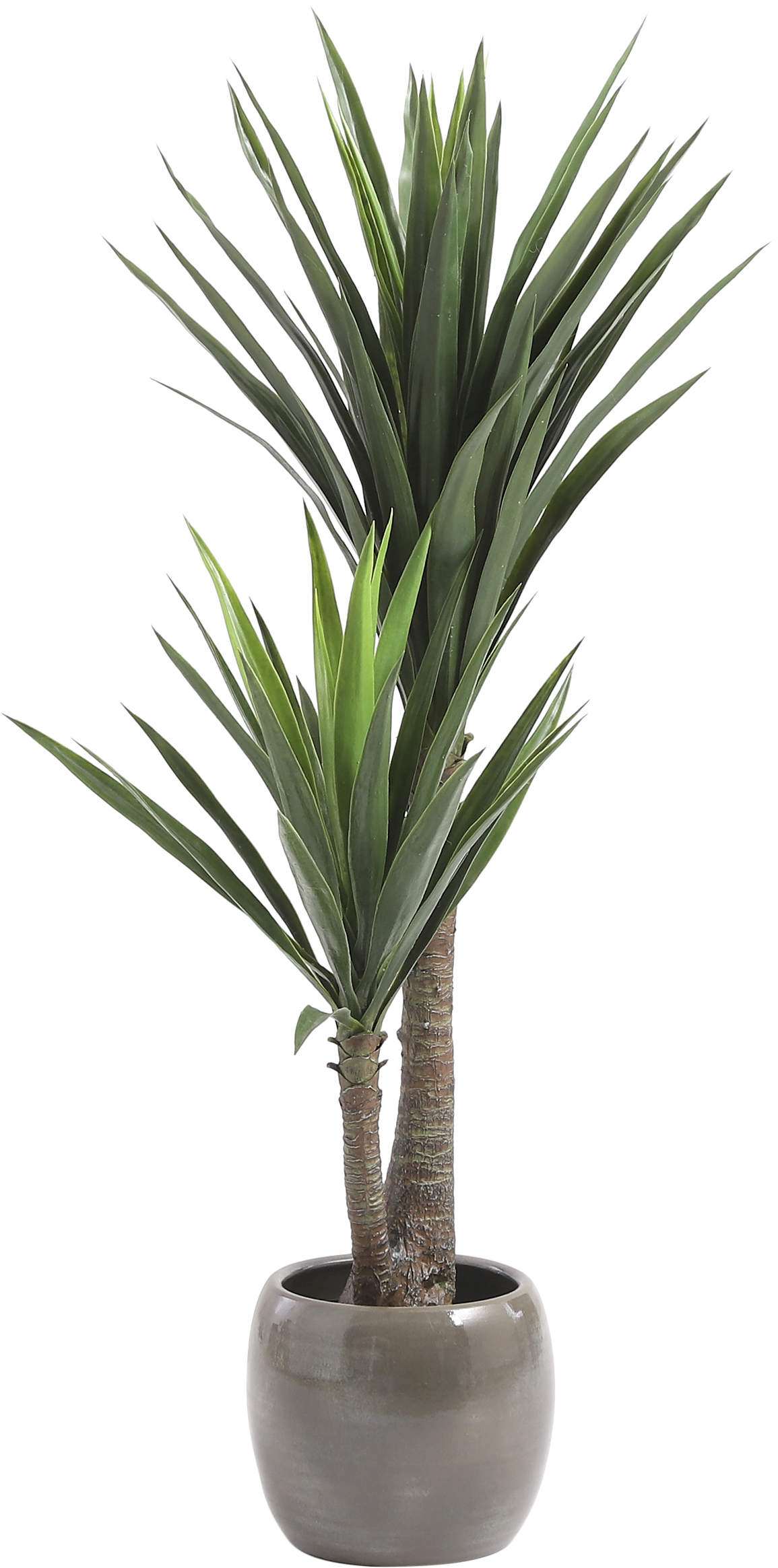 Planta artificial Yuca de 120 cm en maceta de 17 cm - 5