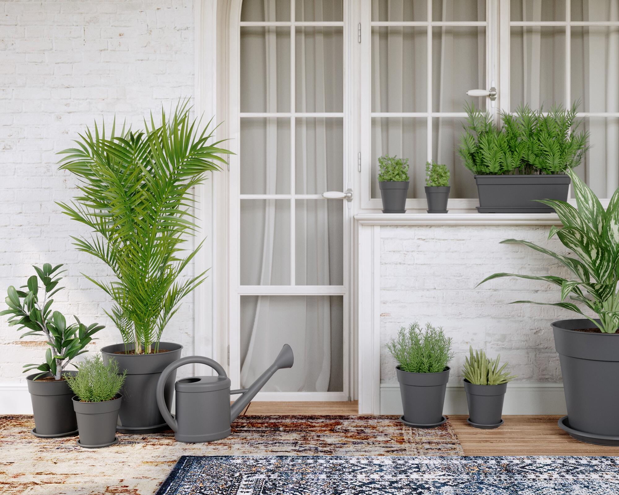 Vaso de plástico 23x22,2 cm antracite Madagascar - 4