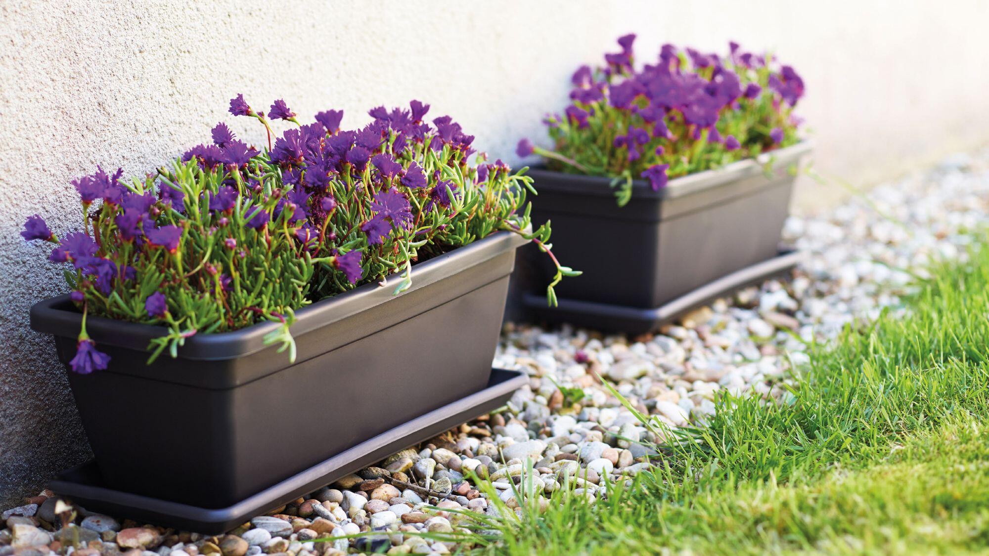 Sottovaso per vaso da fiori ARTEVASI Gardenie in polipropilene antracite L 47.4 x H 3.3 x P 47.4 cm - 2