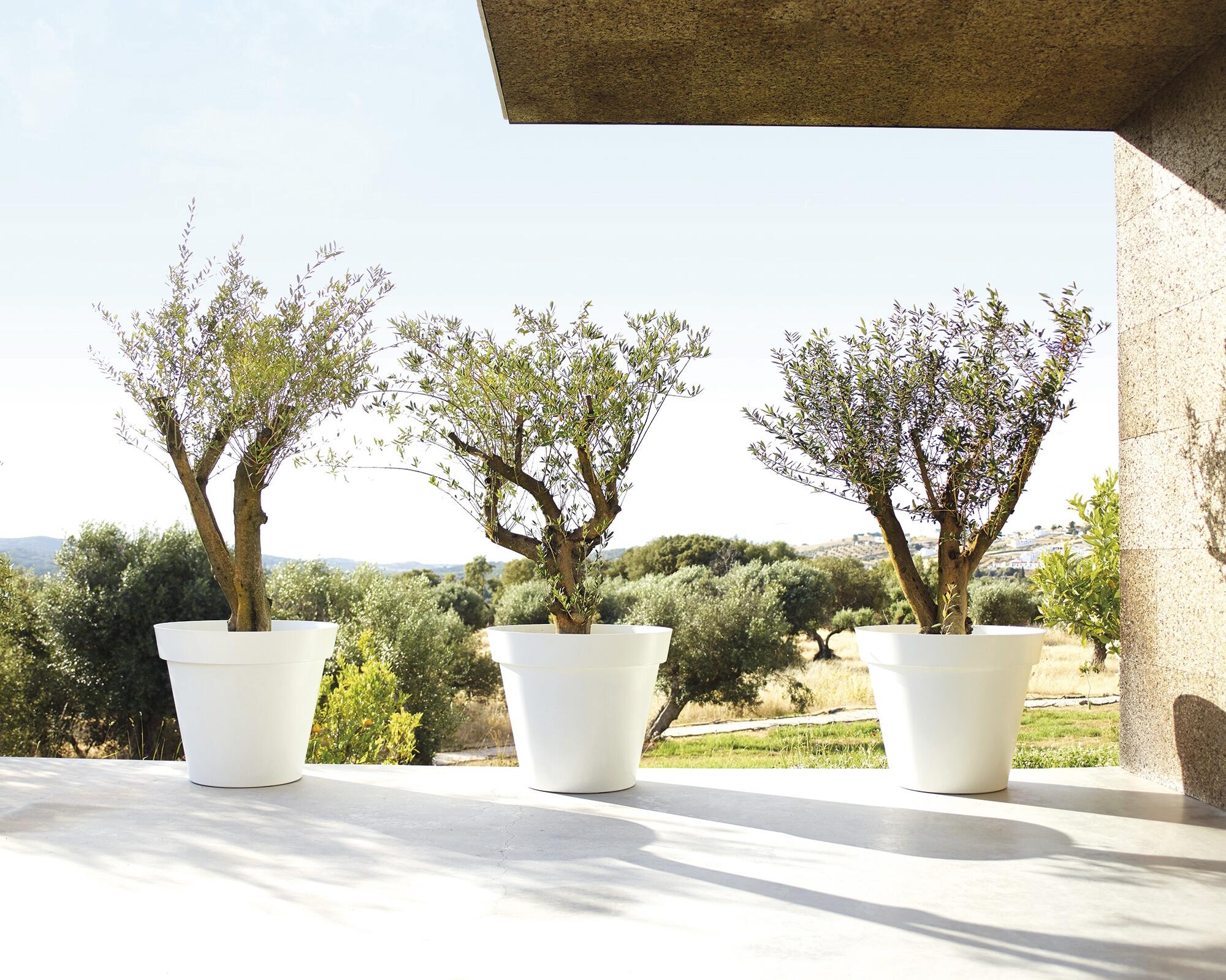 Vaso de plástico CAPRI D35CM ANTRACITE - 6