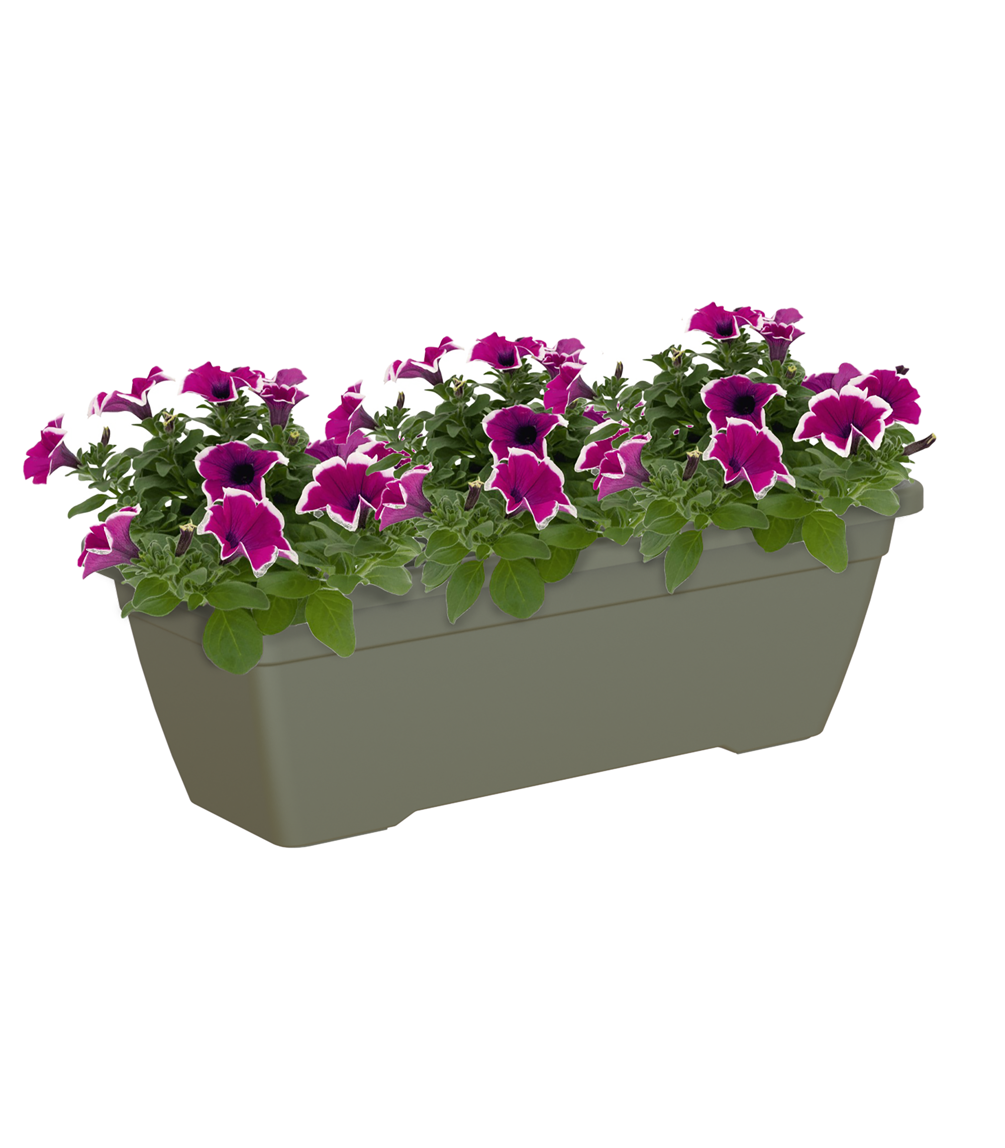 Jardinera de polipropileno venezia verde 40x19x16 cm