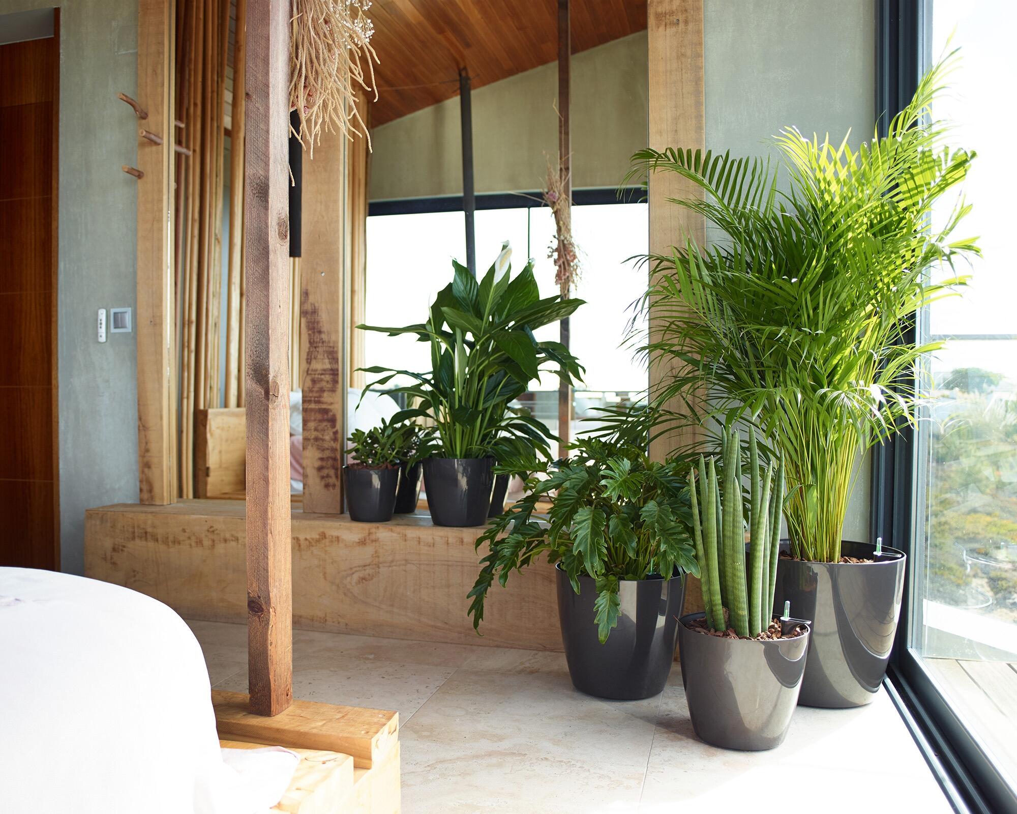 Vaso de plástico SAN REMO D30CM BRANCO - 4