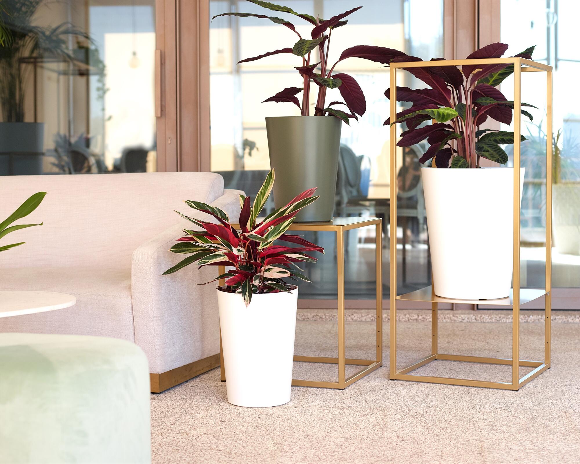 Vaso de resina PORTO ALTO 80CM VERDE SECO - 6