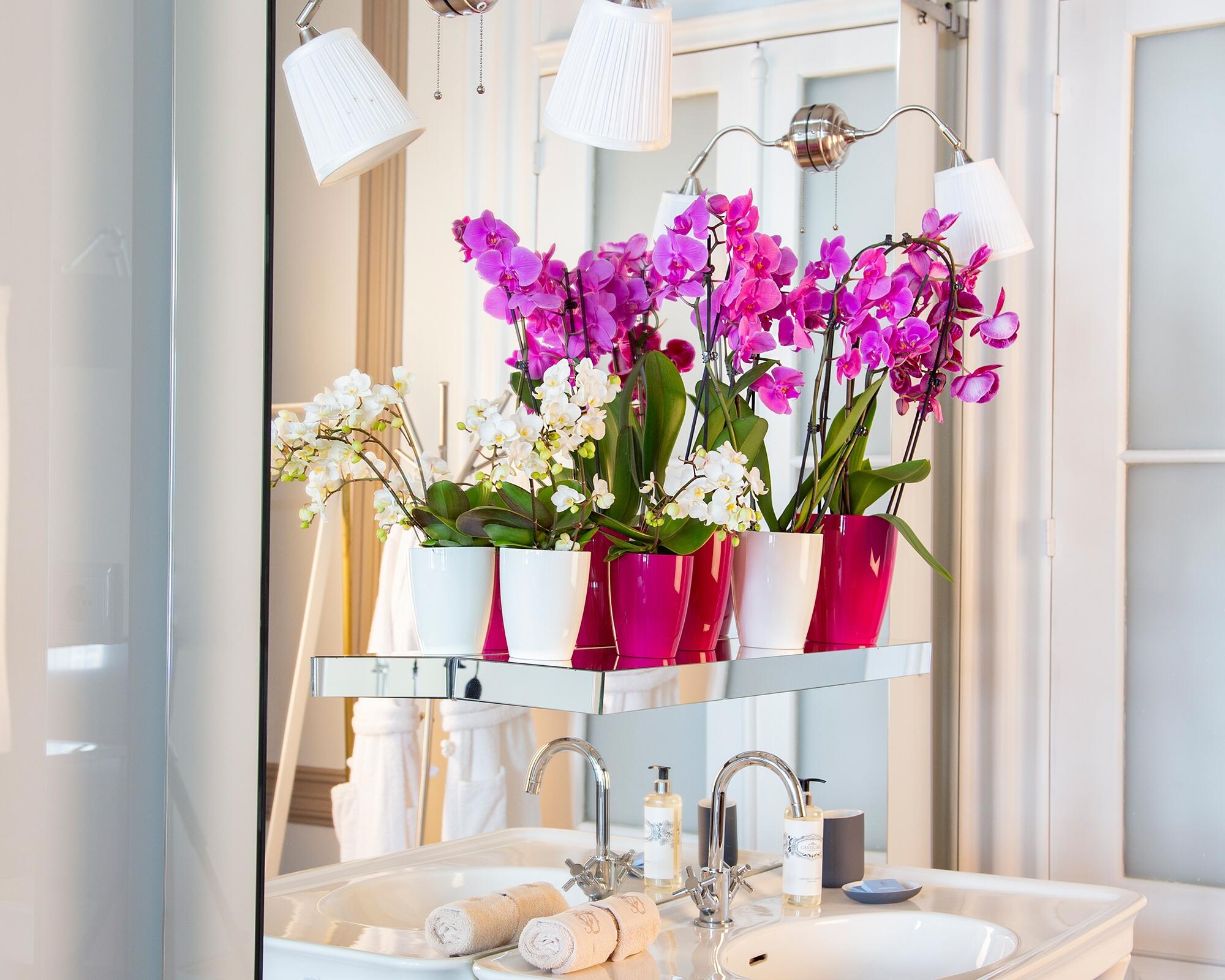 Vaso de plástico ORQUÍDEA D15CM BRANCO - 4