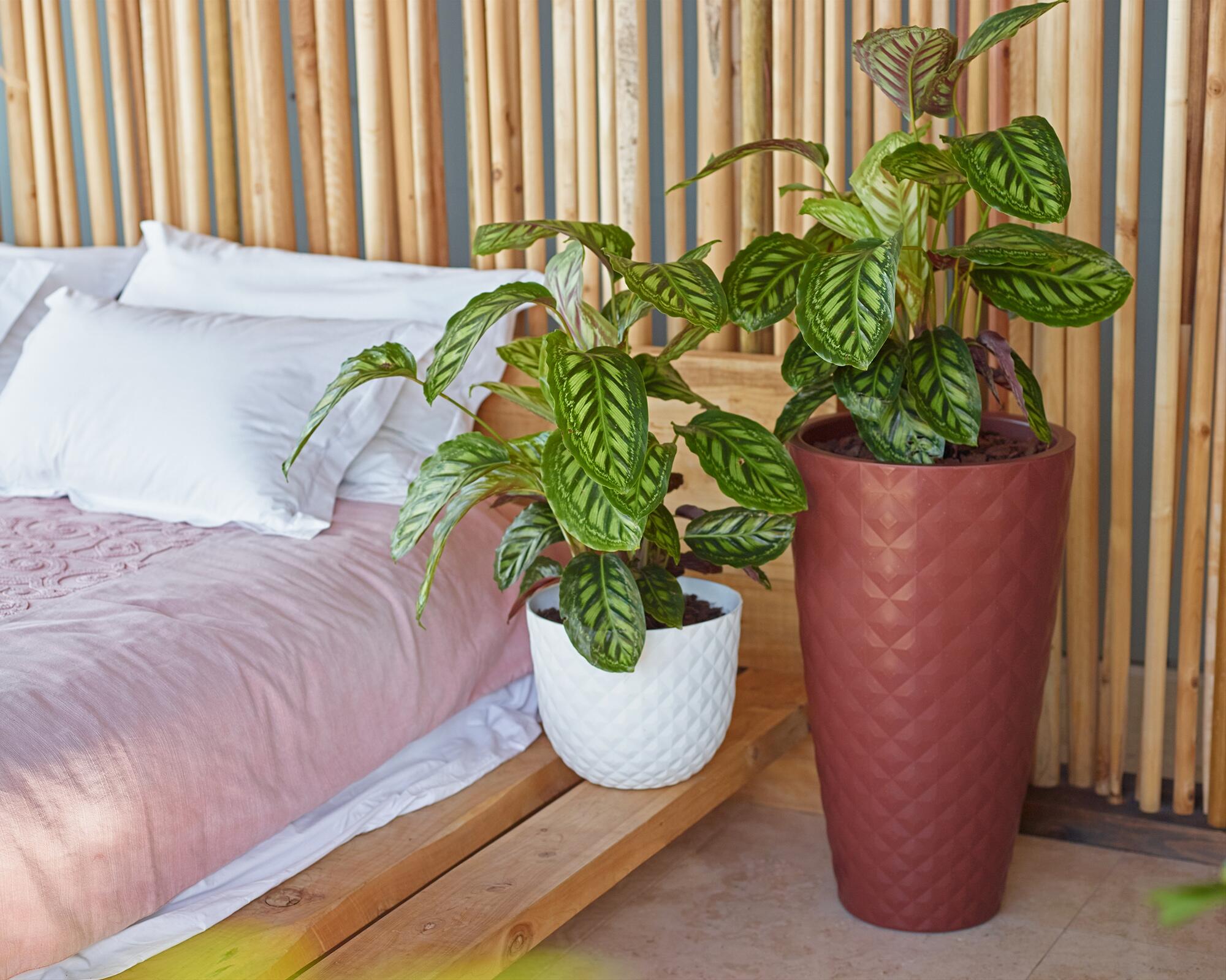 Maceta redonda de polipropileno HAVANA TROPICAL granito 30x24,9 cm - 8