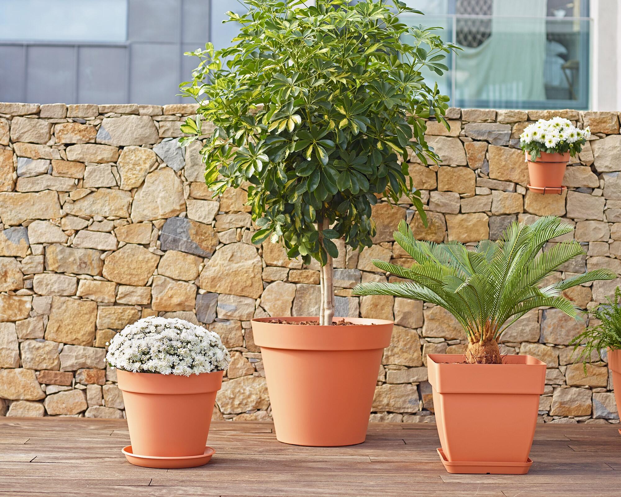 Vaso de plástico CAPRI D35CM ANTRACITE - 8