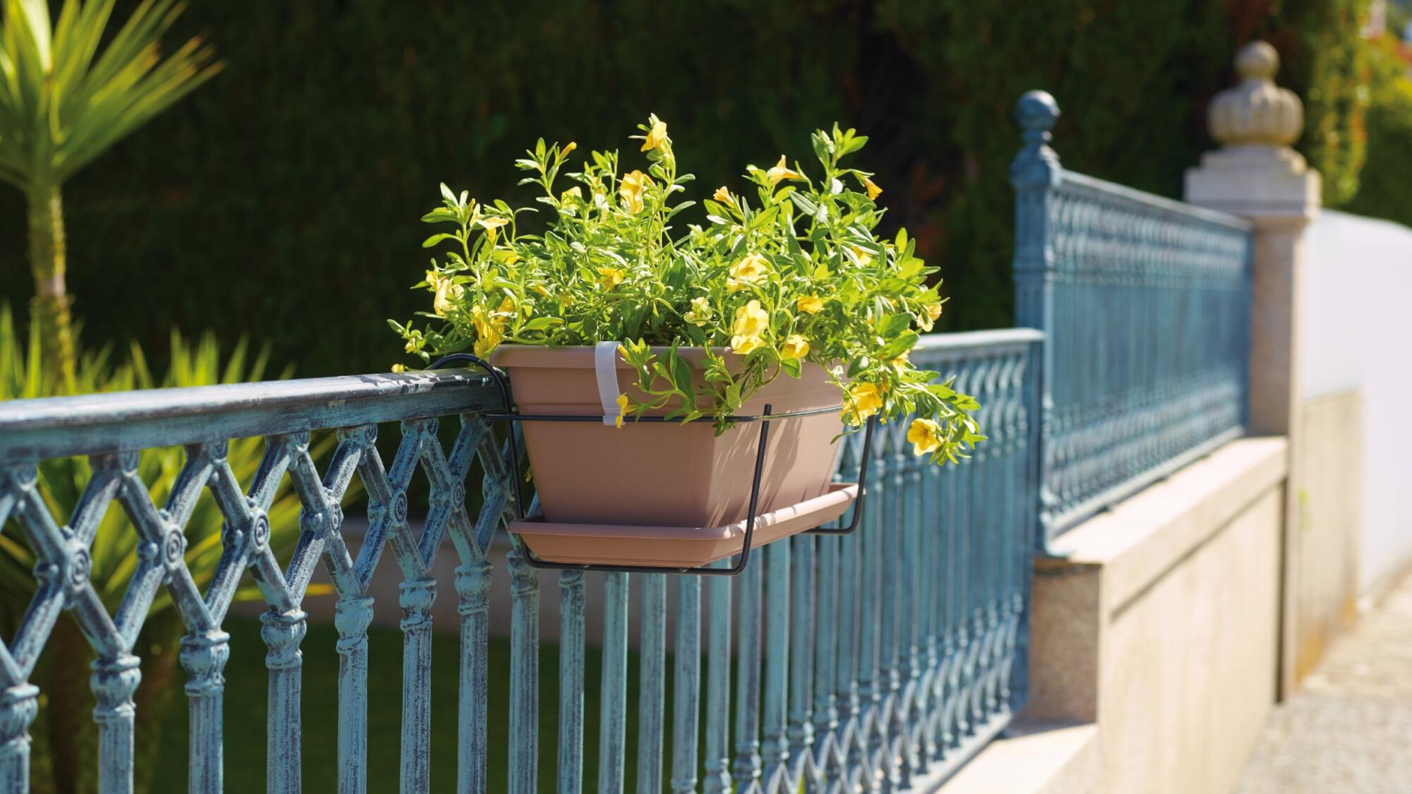 Kit jardinera y plato VENEZIA antracita 40x19,5x16,3cm - 4