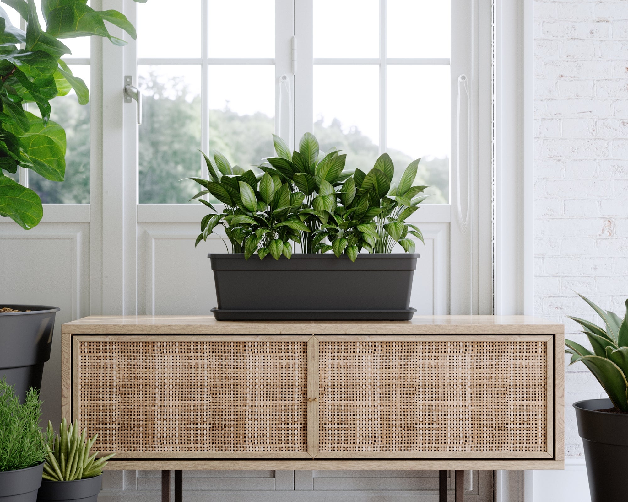 Floreira de resina MADAGASCAR 50CM TERRACOTA - 5