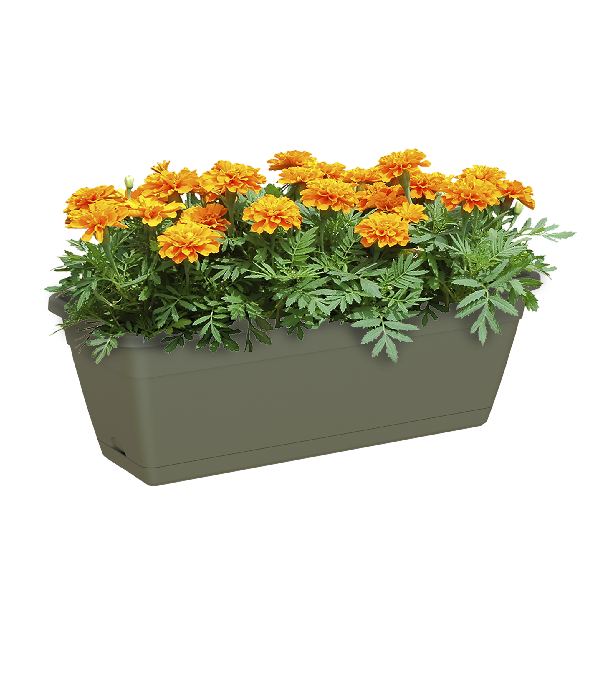 Jardinera auto riego de polipropileno Venezia verde 40x19.5x16.6 cm - 3