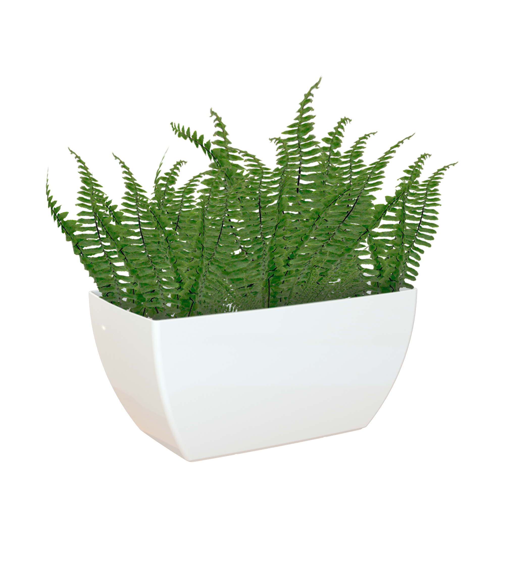 Vaso ARTEVASI in polipropilene bianco H 17 x L 17.5 x P 40 cm - 5