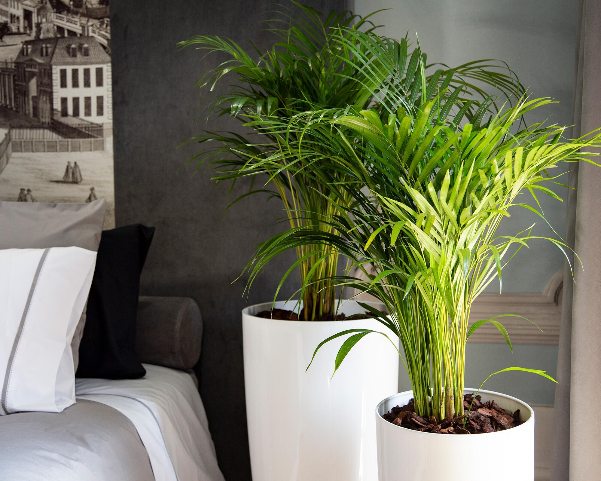 Vaso de resina SANTORINI D33CM TAUPE - 6