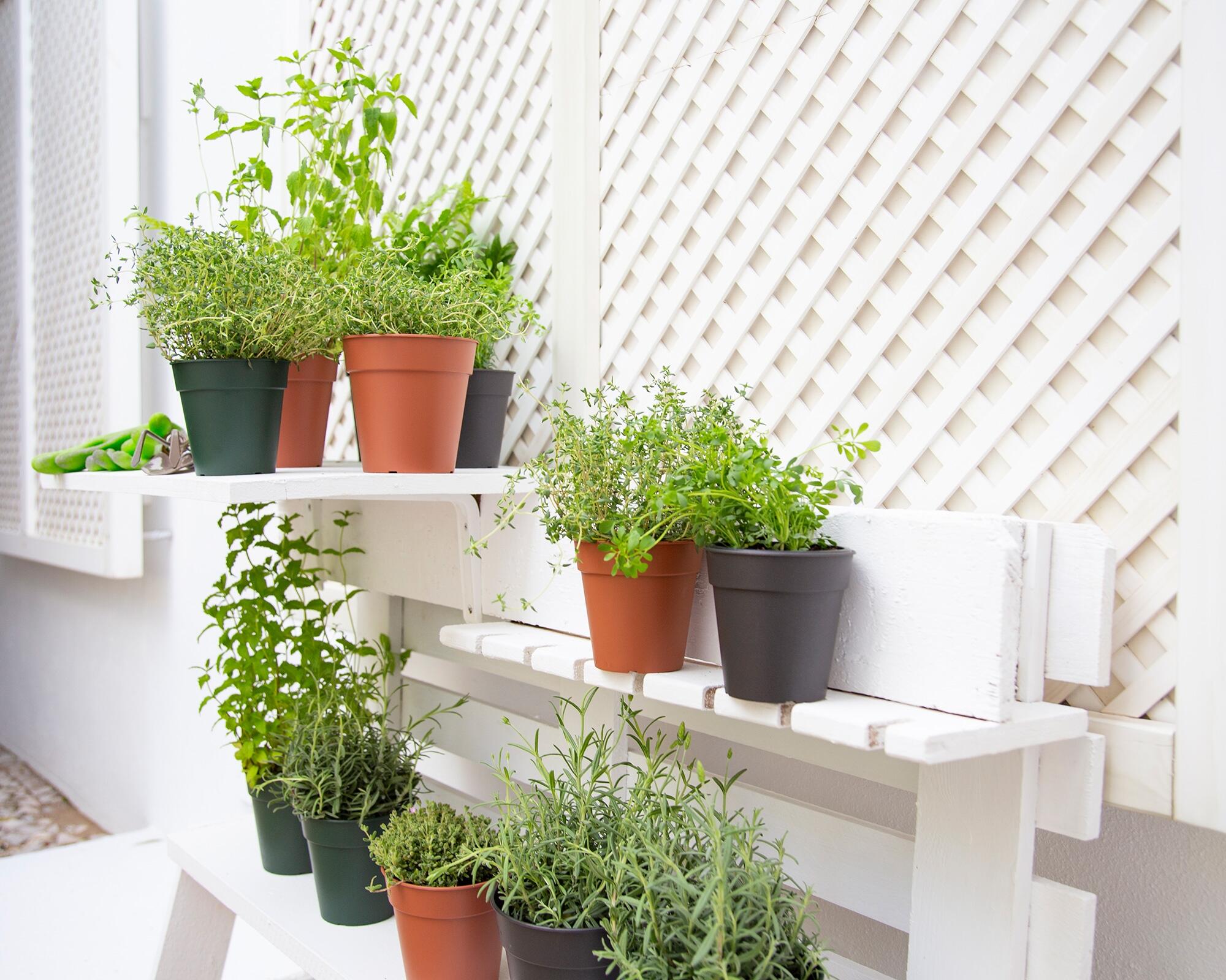 Vaso de plástico 23x22,2 cm antracite Madagascar - 3