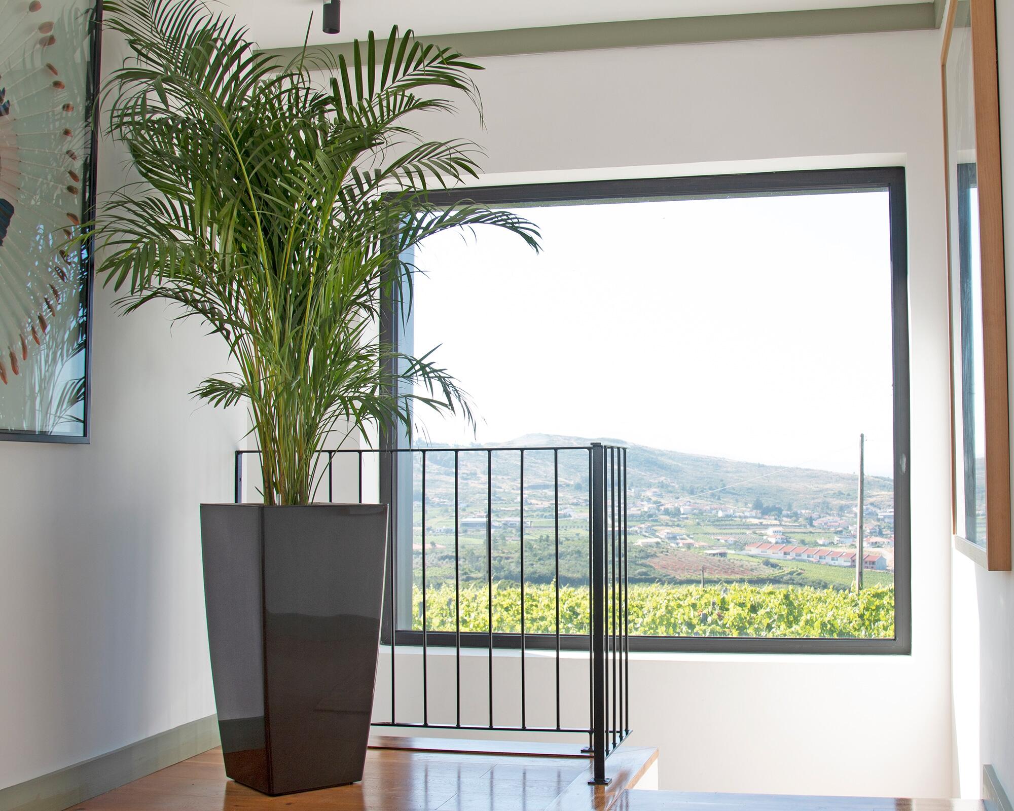 Vaso PISA 40CM ANTRACITE - 6