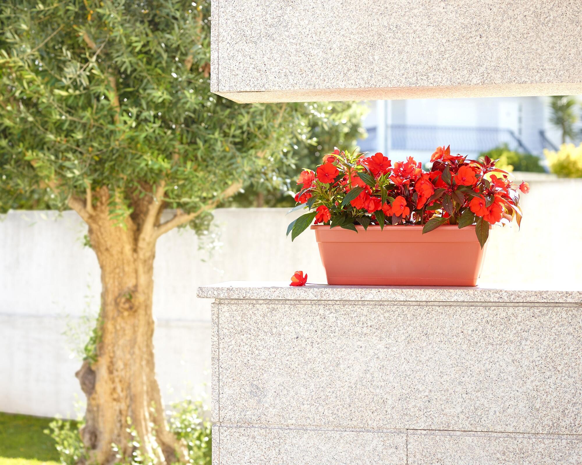 Jardinera auto riego de polipropileno Venezia verde 40x19.5x16.6 cm - 2