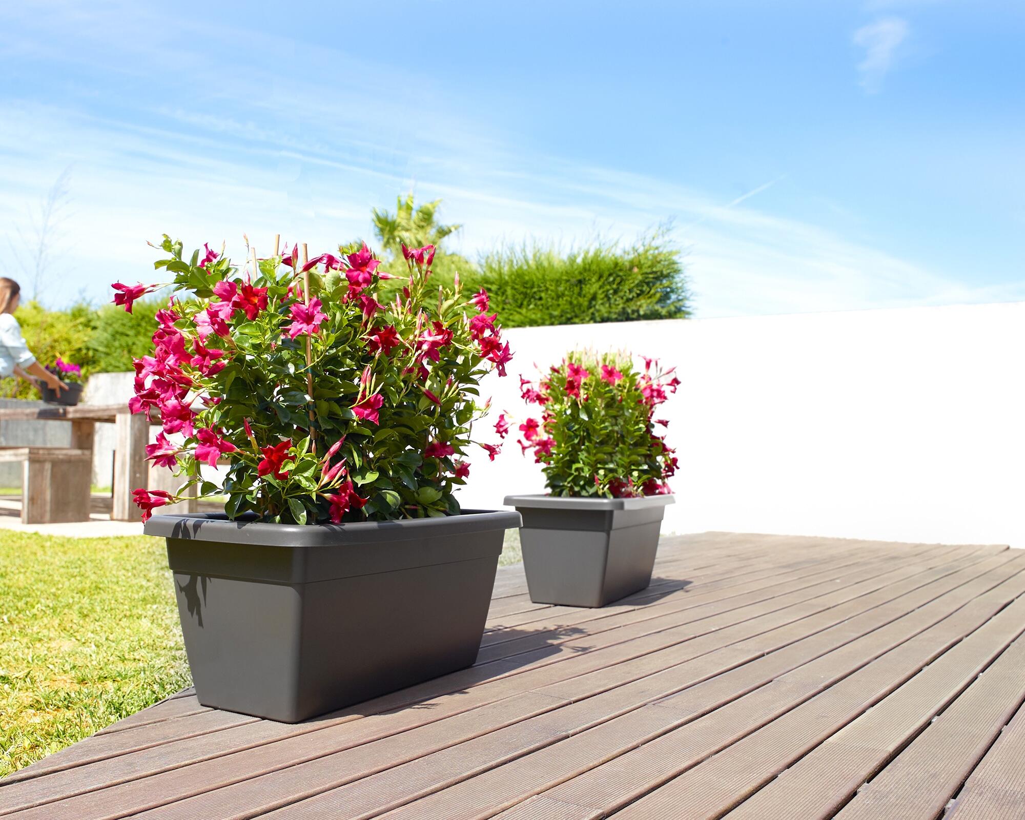 Floreira de plástico GRANDE 60X32CM CINZA - 4