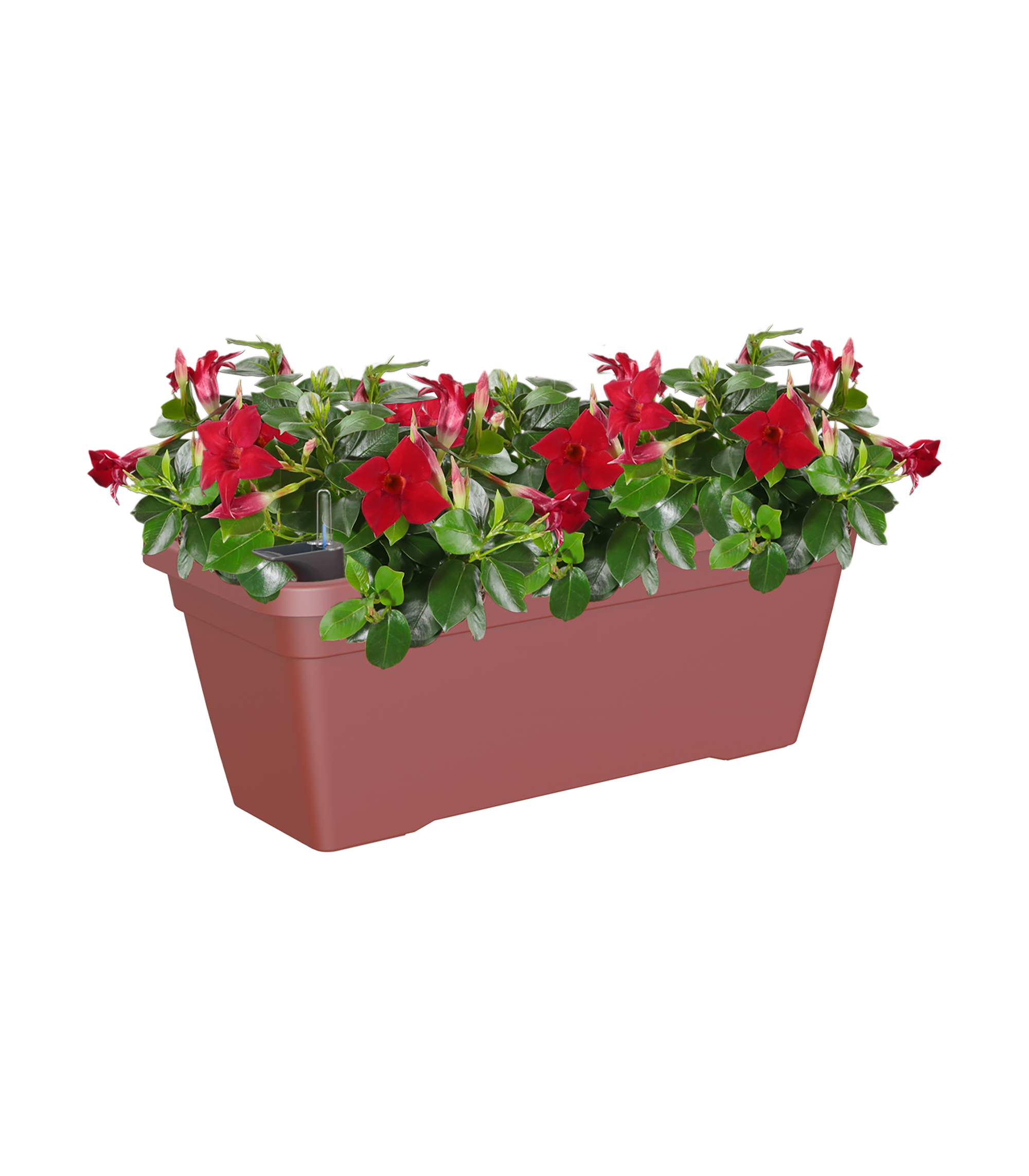 Jardinera auto riego de polipropileno venezia rojo 77.9x24,3x22 cm