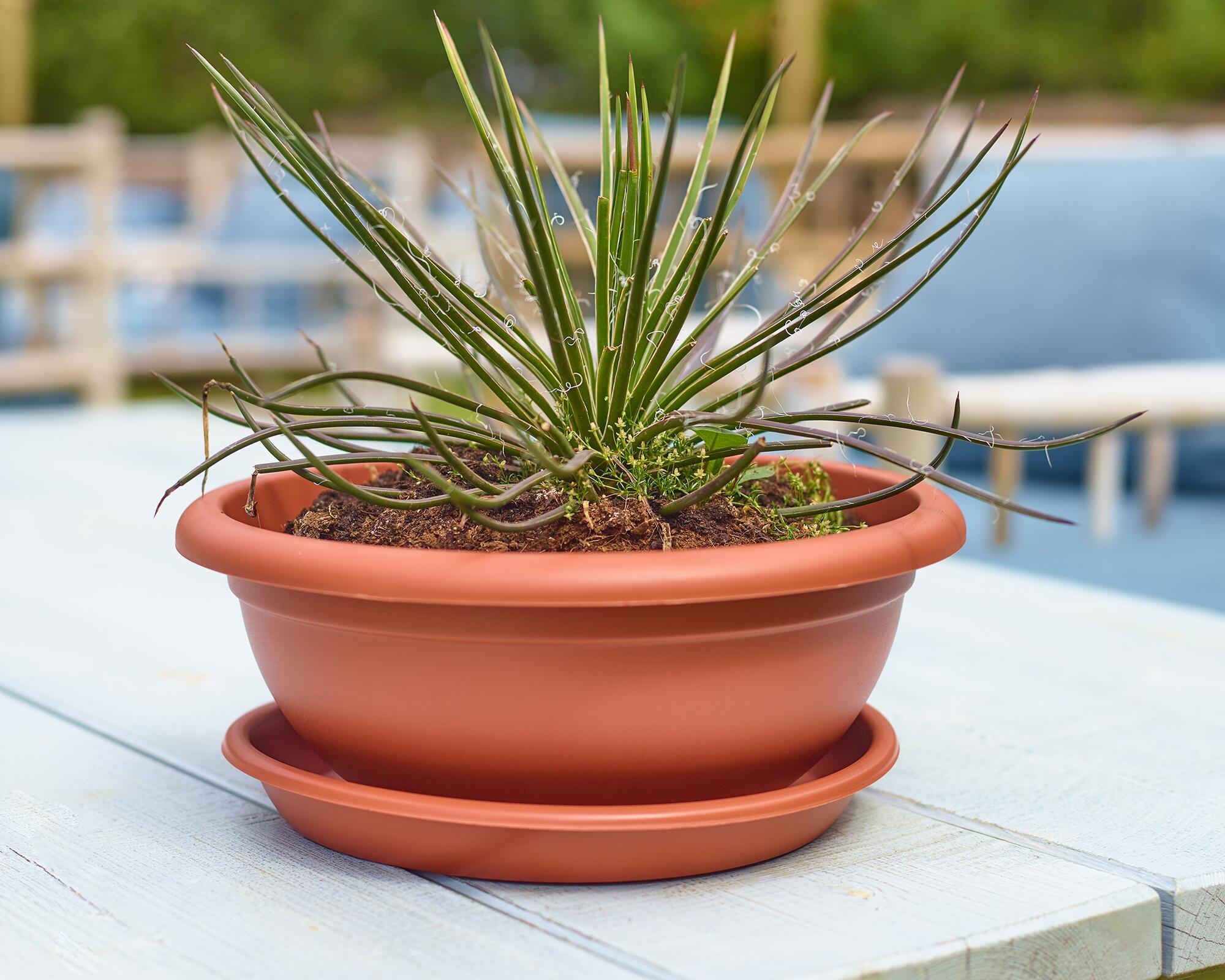 Maceta redonda de polipropileno ARTEVASI Venezia bol ø 30 cm y 12.5 cm altura gris - 4