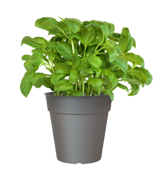 Vaso MADAGASCAR D27CM ANTRACITE