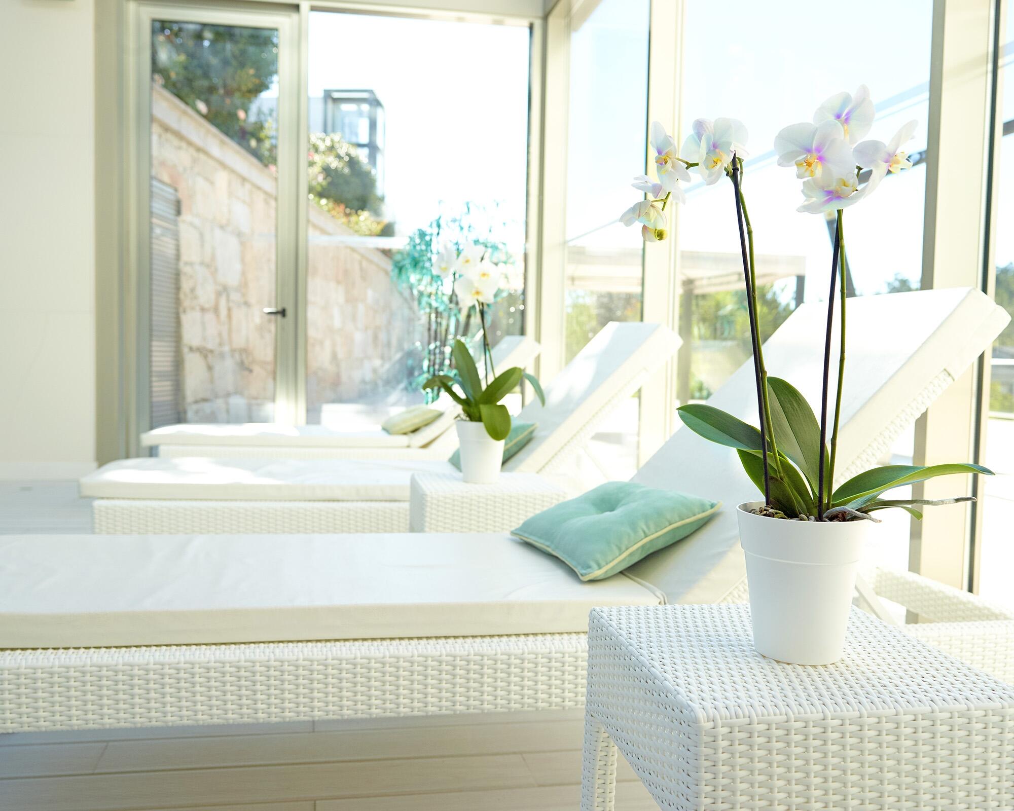 Maceta redonda de resina ARTEVASI Capri ø 13.7 cm y 15 cm altura blanco - 5