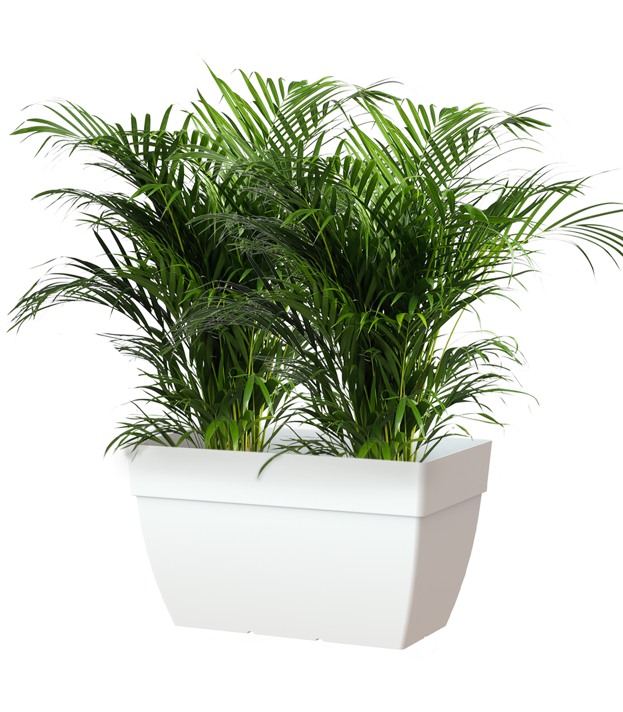 Fioriera Capri ARTEVASI in polipropilene bianco H 35 x L 60 x P 60 cm - 3