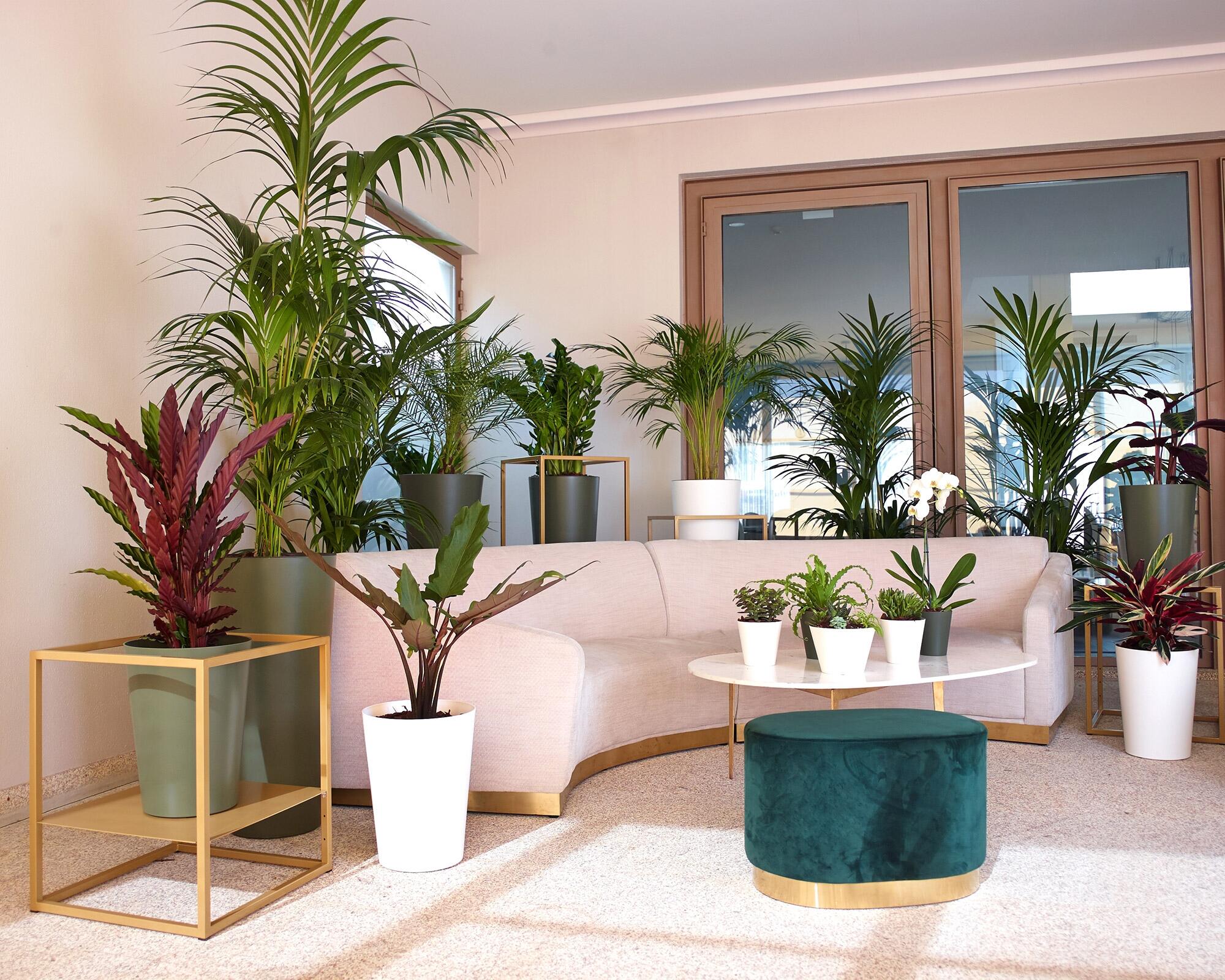 Vaso de resina PORTO ALTO 80CM VERDE SECO - 3